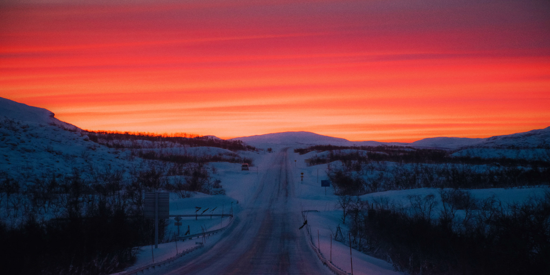 Dancing with the midnight sun.