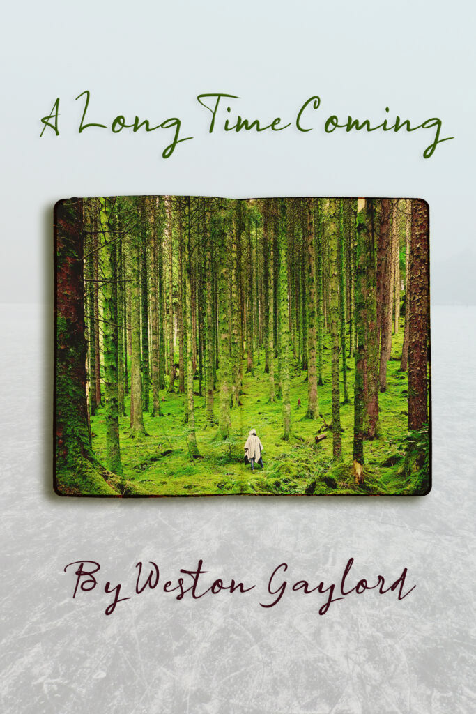 A Long Time Coming - Ashland New Plays Festival | I worked with 3 different playwrights and directors to make and produce simplistic sound designs for their plays. This was my first time working on plays that were still being workshopped. The festival is presented in a table-read format so the design needed to reinforce the story without drawing attention. 