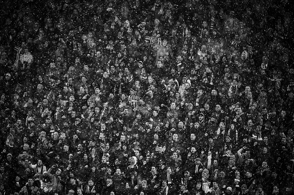 Fans ©ZM