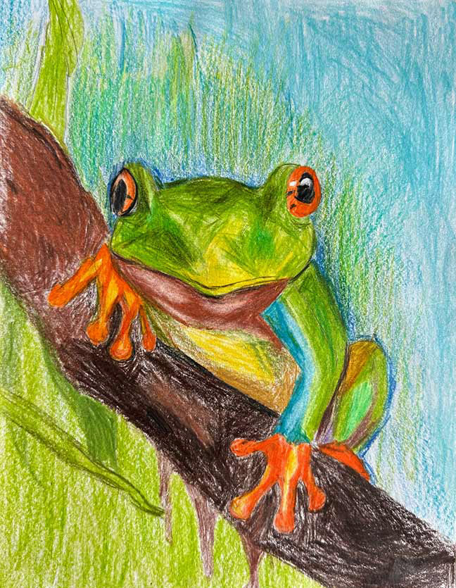 Frog