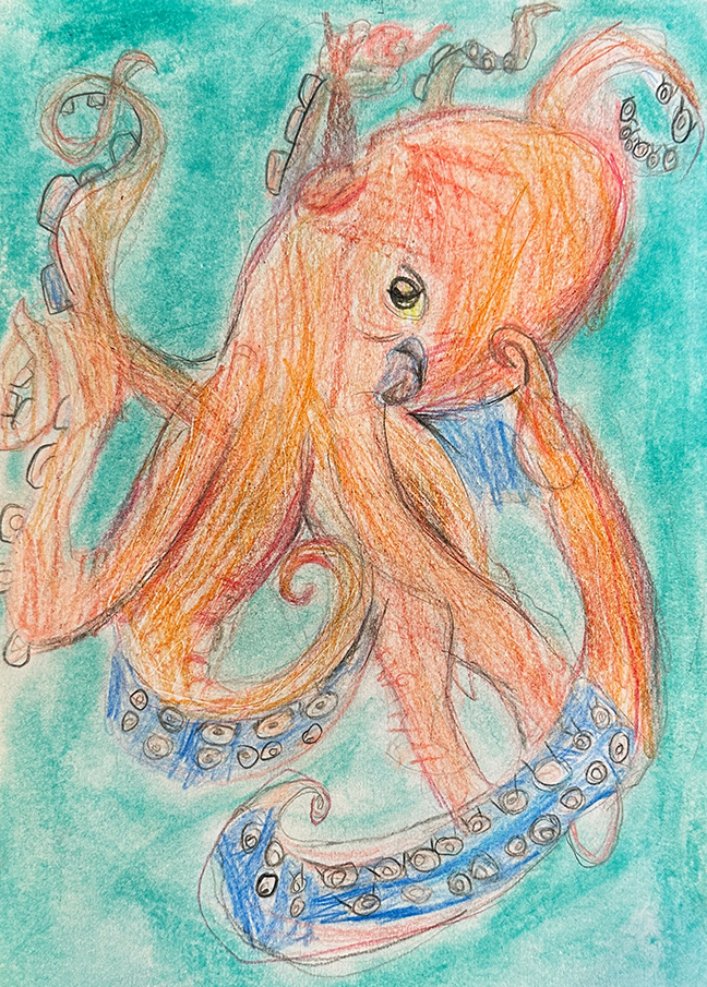 Octopus