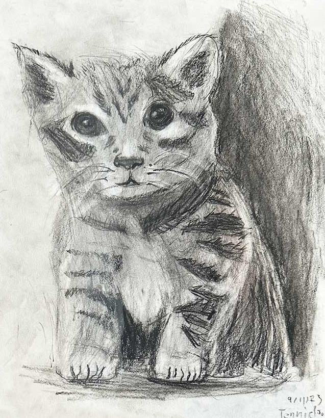 Kitten