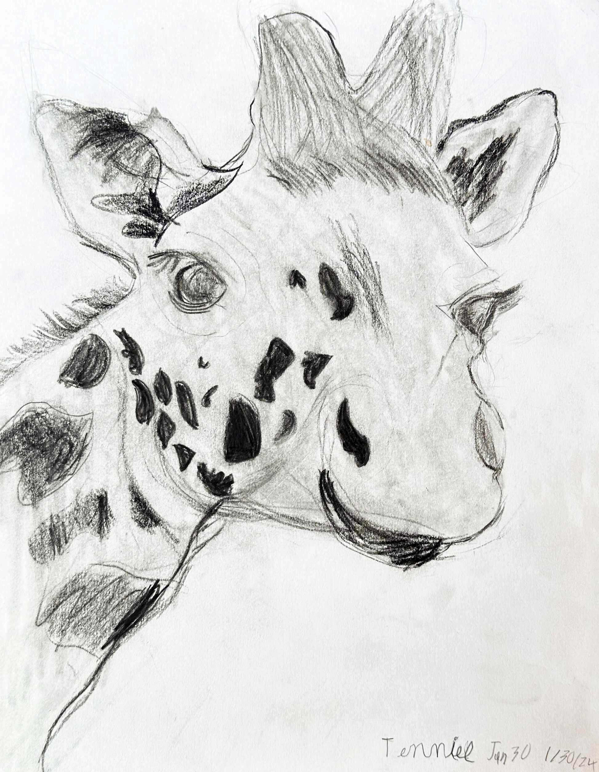 Giraffe