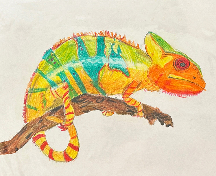 Orange Chameleon