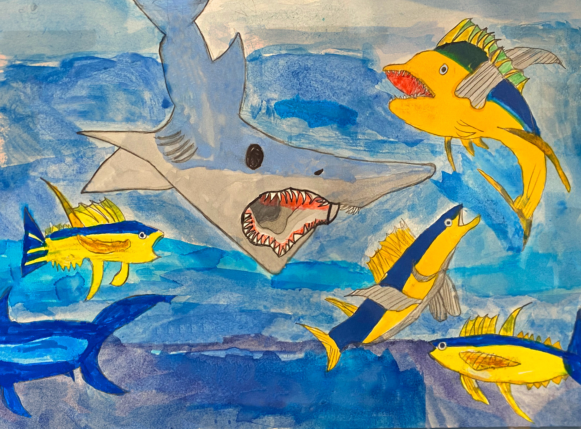 2023 MME Honorable Mention (Stellwagen Bank National Marine Sanctuary)