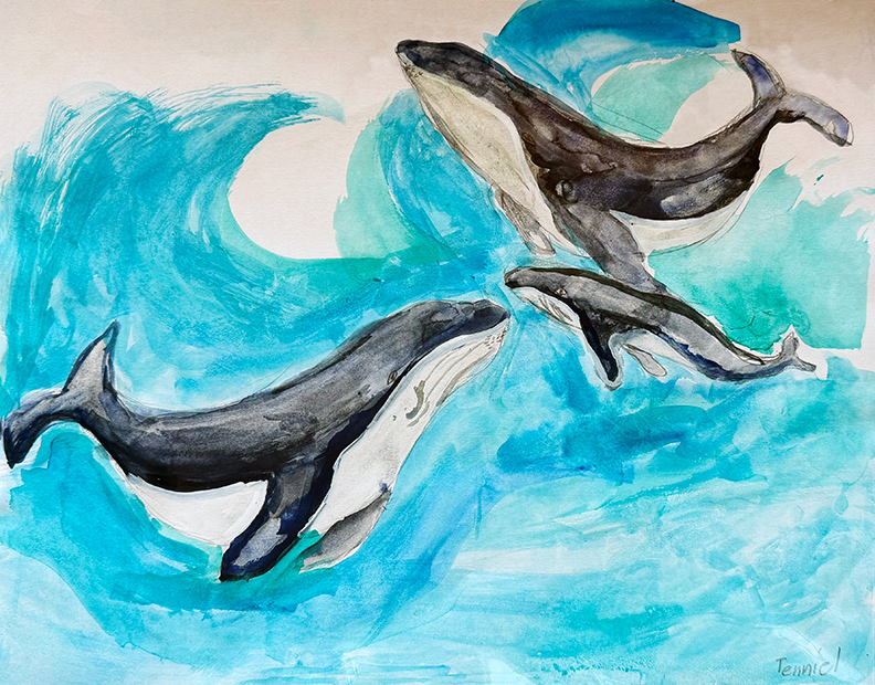 Whale Family