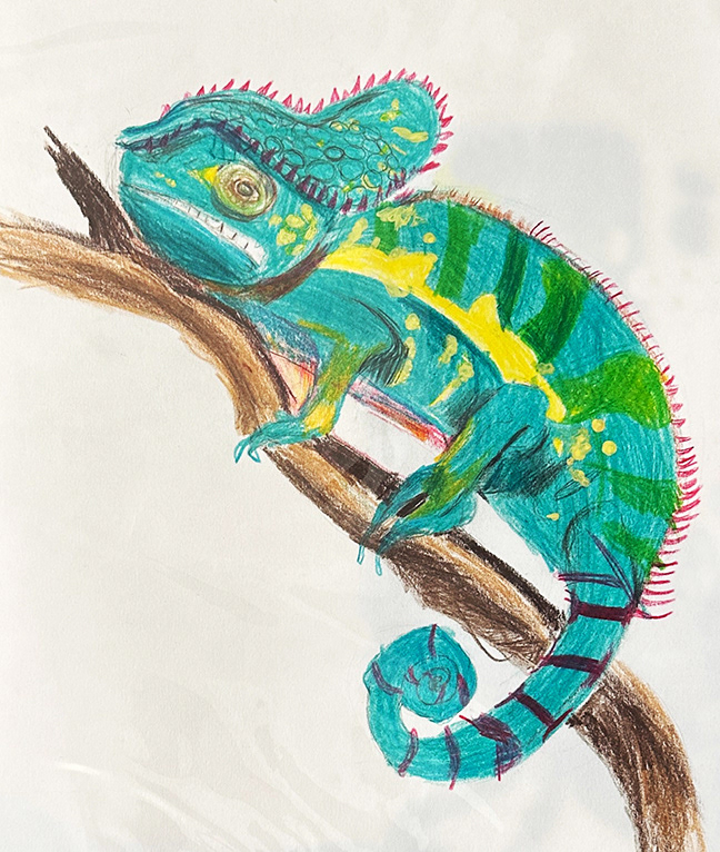 Green Chameleon