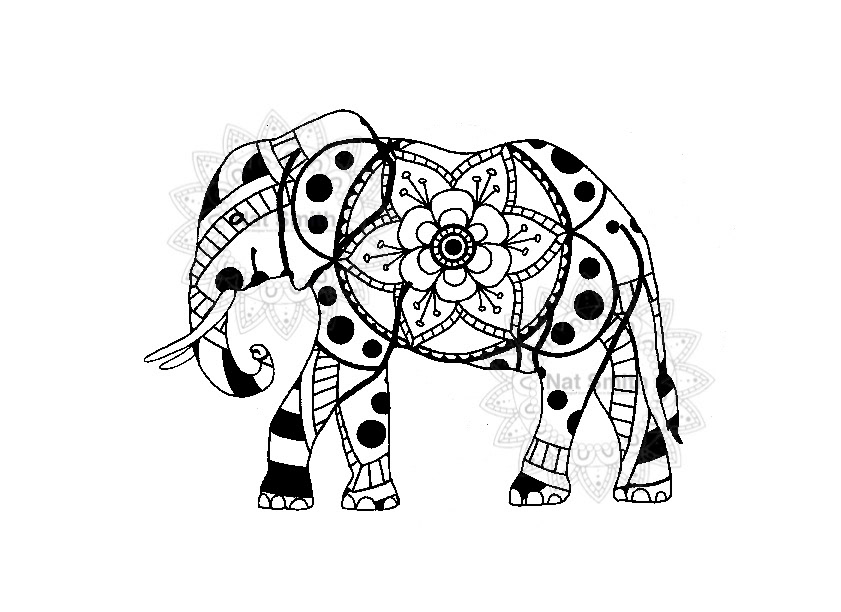 Elephant