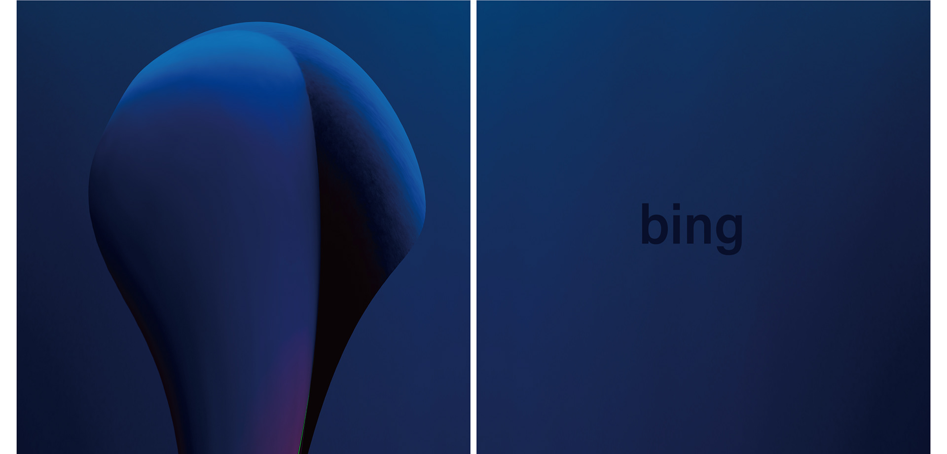 bing / C-print