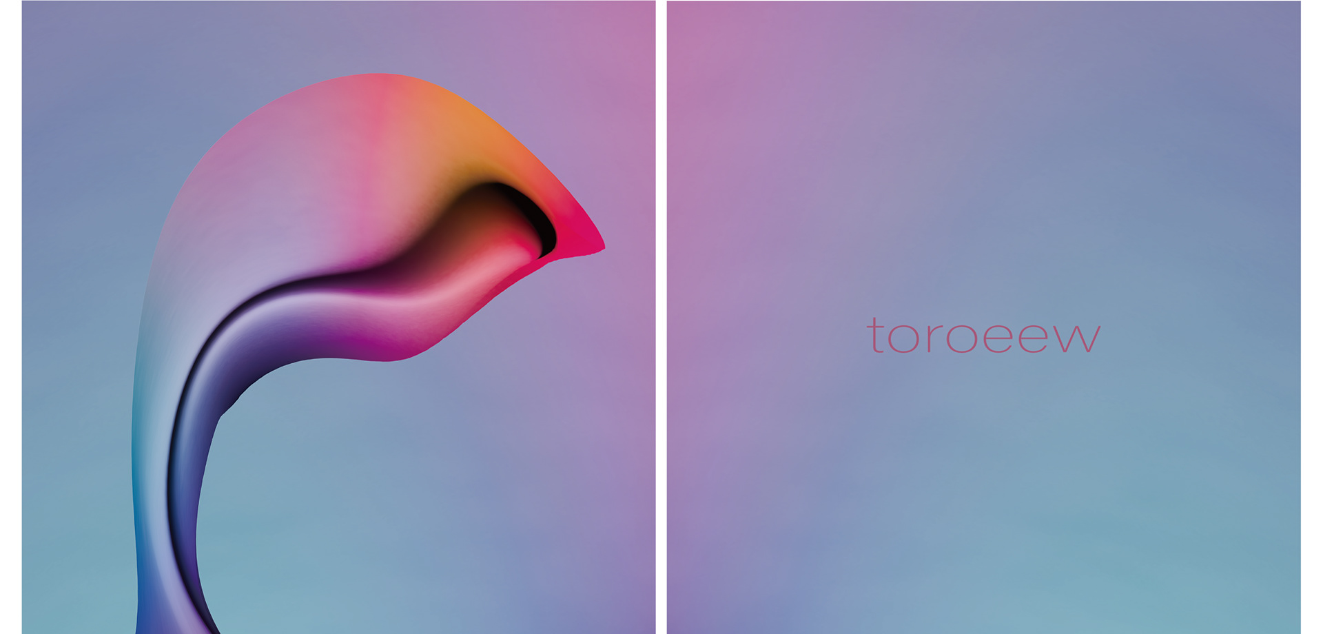 toroeew / C-print