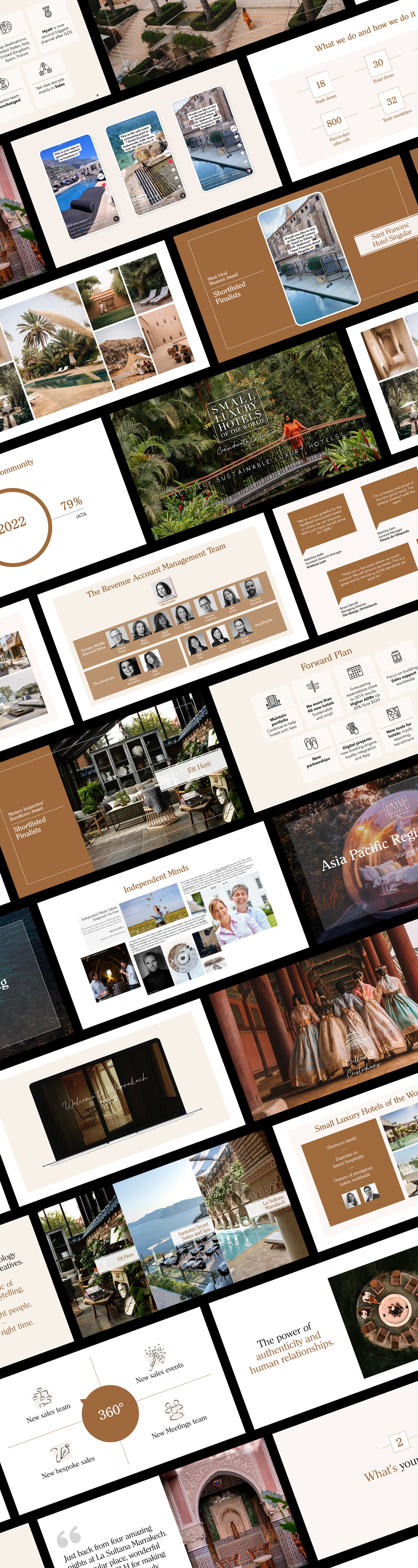 Collage of PowerPoint slides