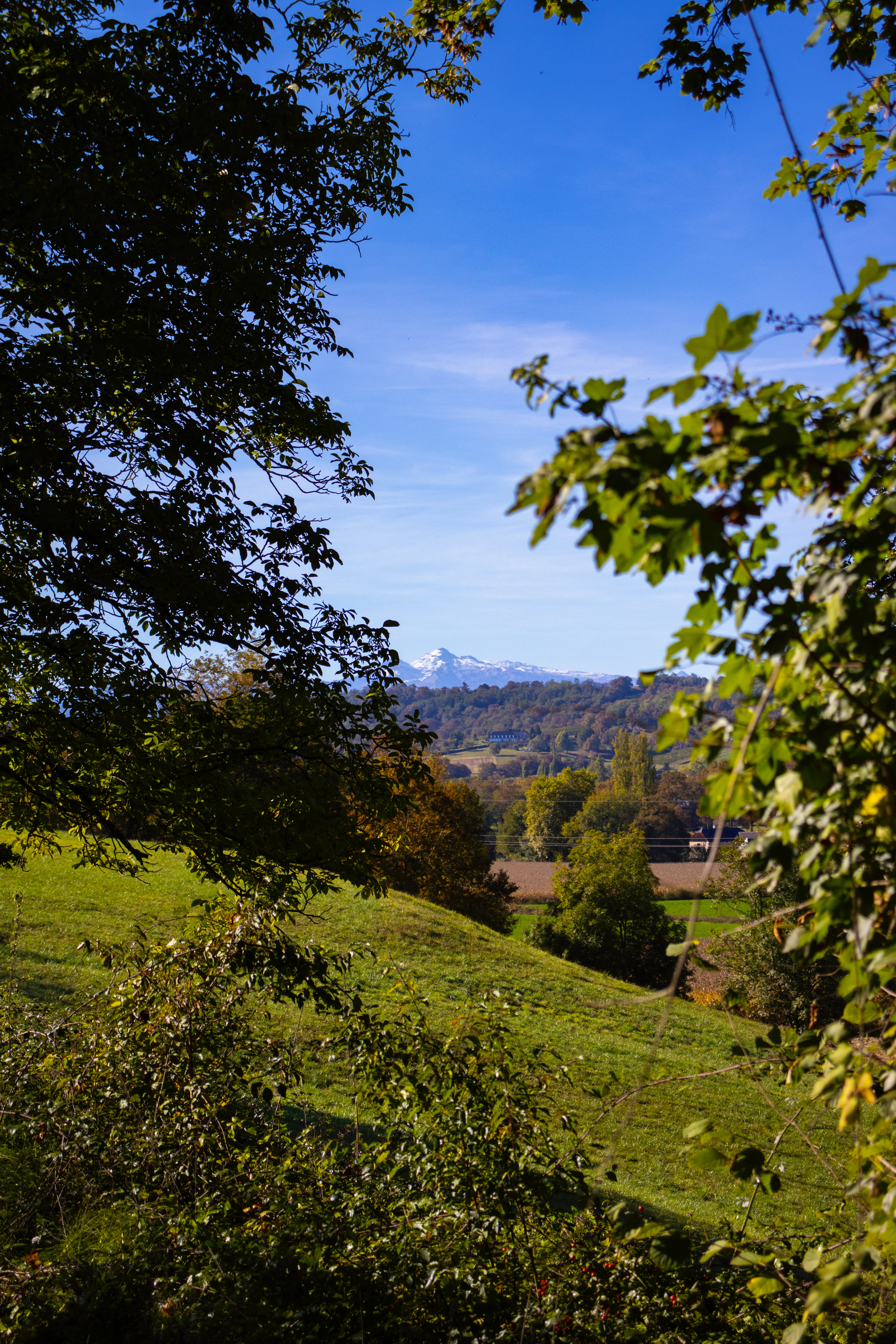 Vue depuis le Béarn