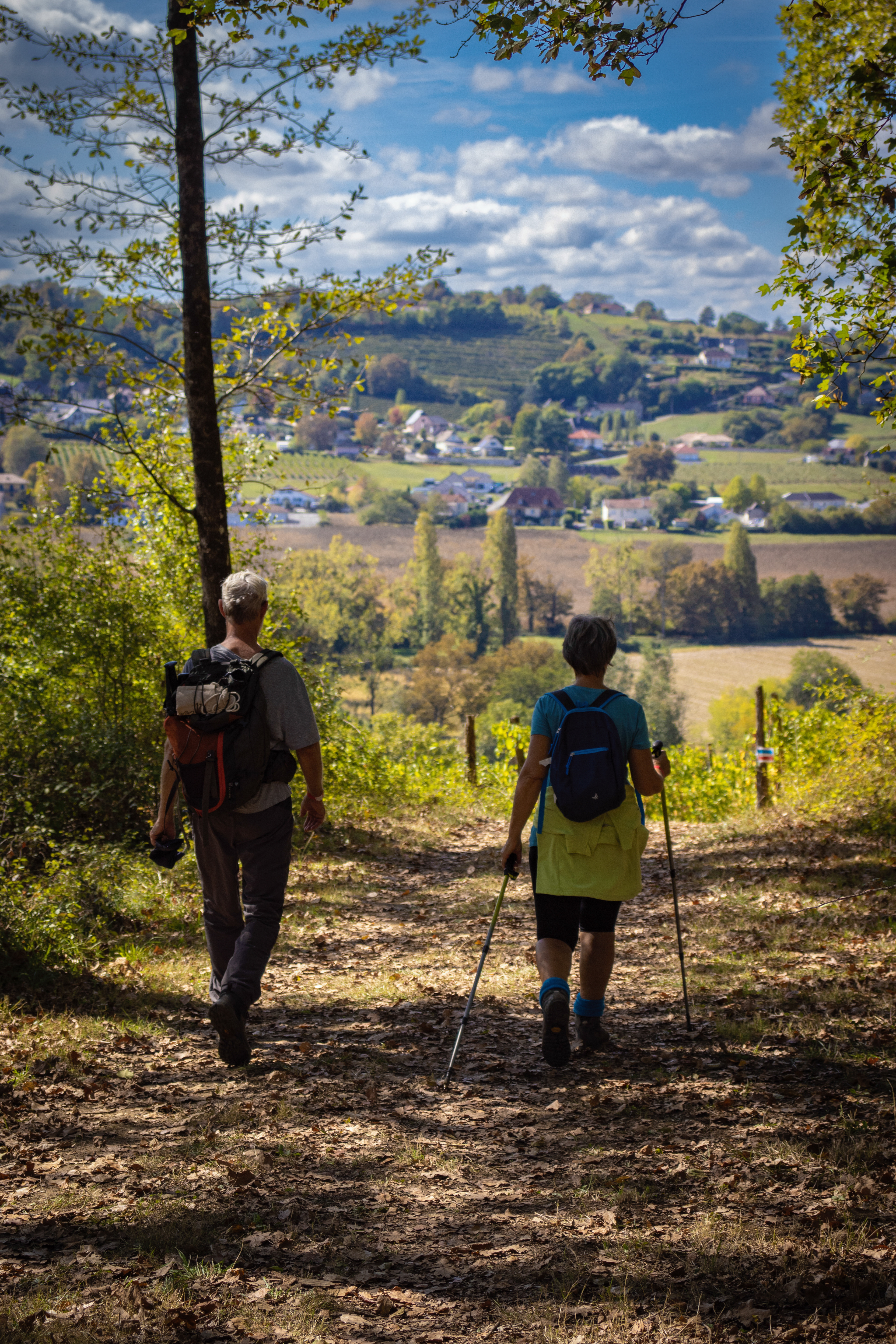 Chemin de randonnée