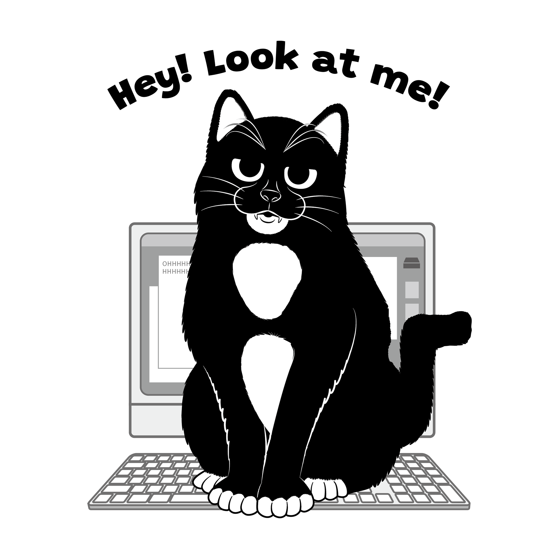 Cat sitting in front of computer