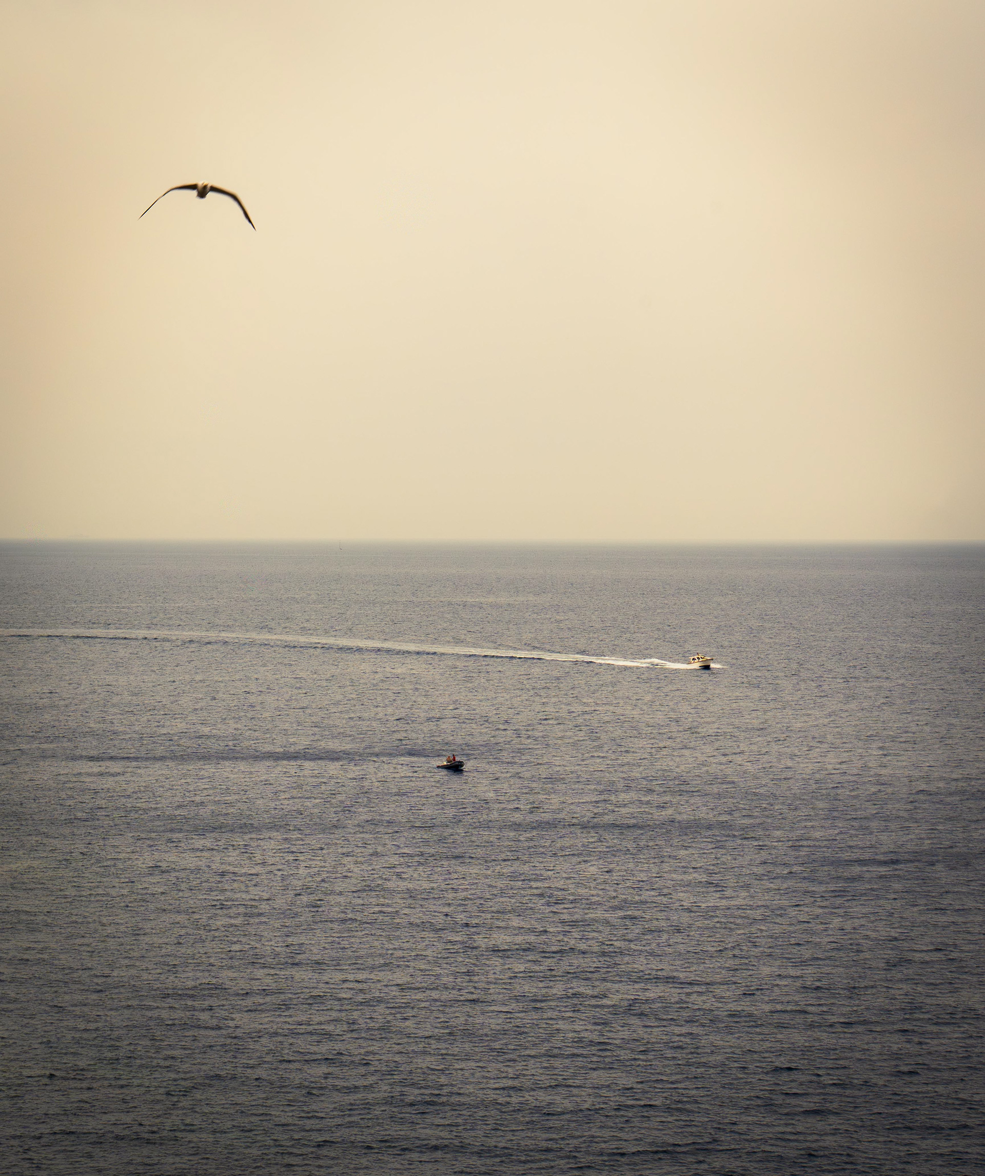 Ligurian Sea, Portofino