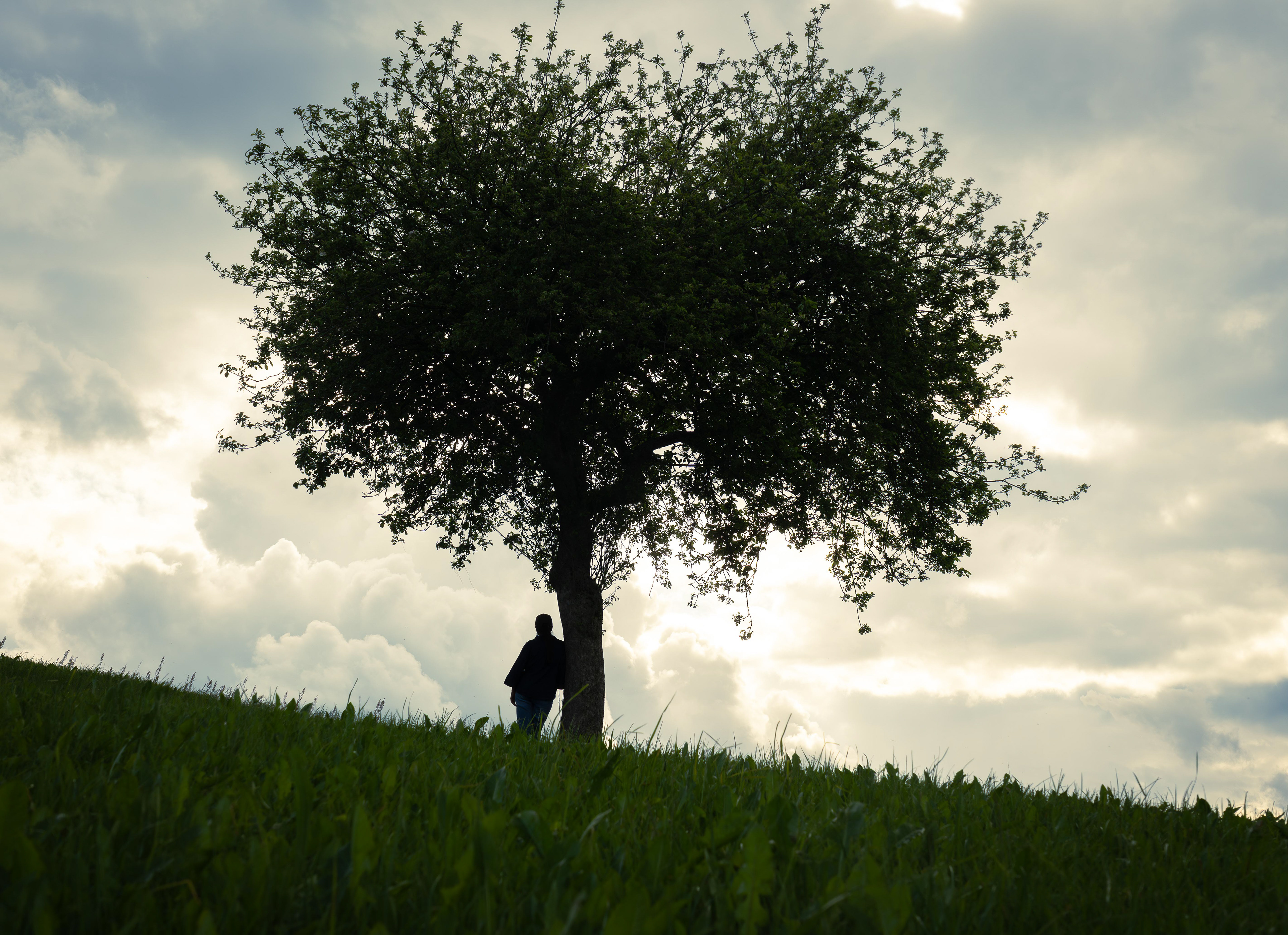 Sveti Tomaž Dramatic Sky, Slovenia