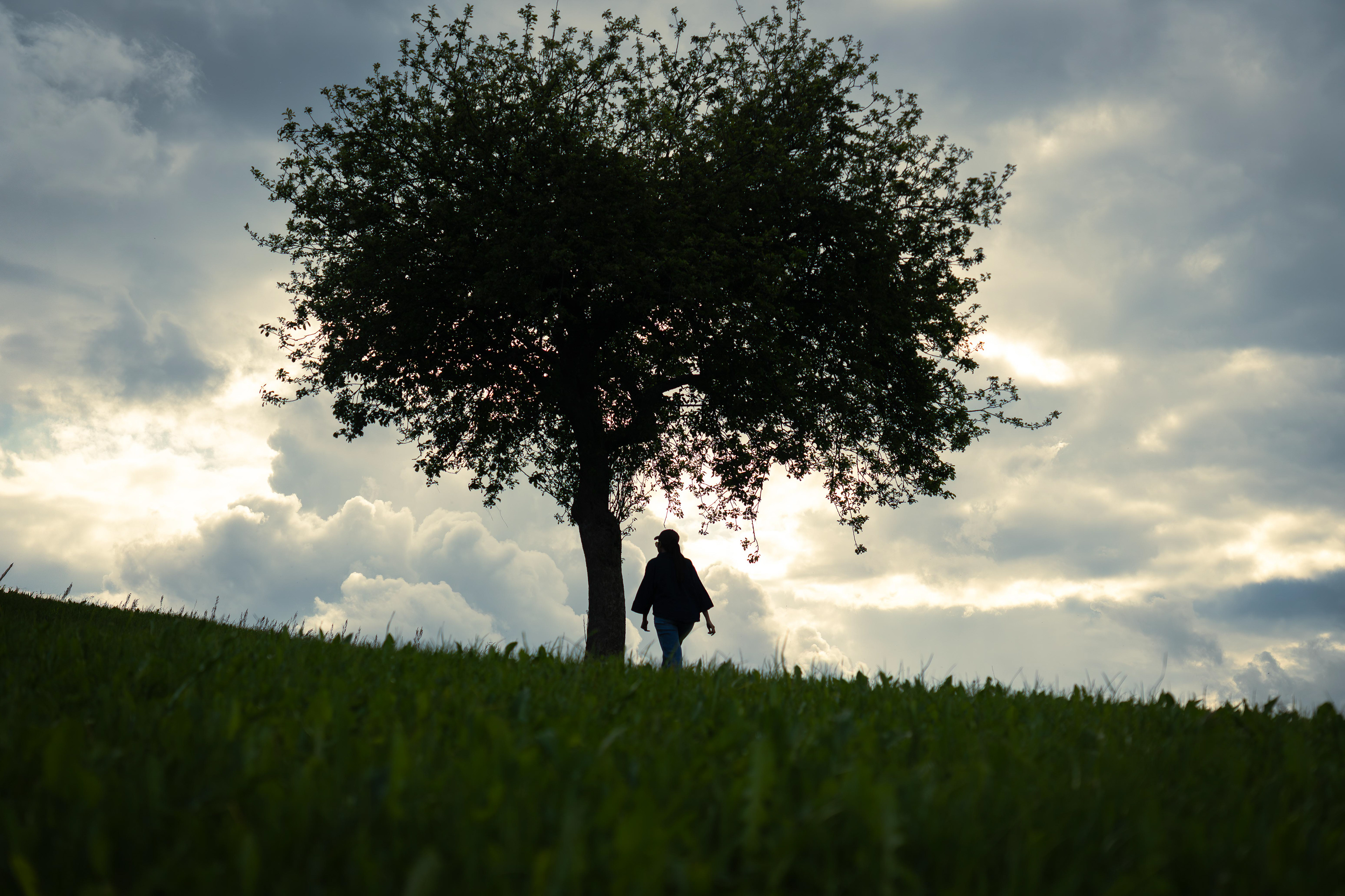 Sveti Tomaž Dramatic Sky, Slovenia