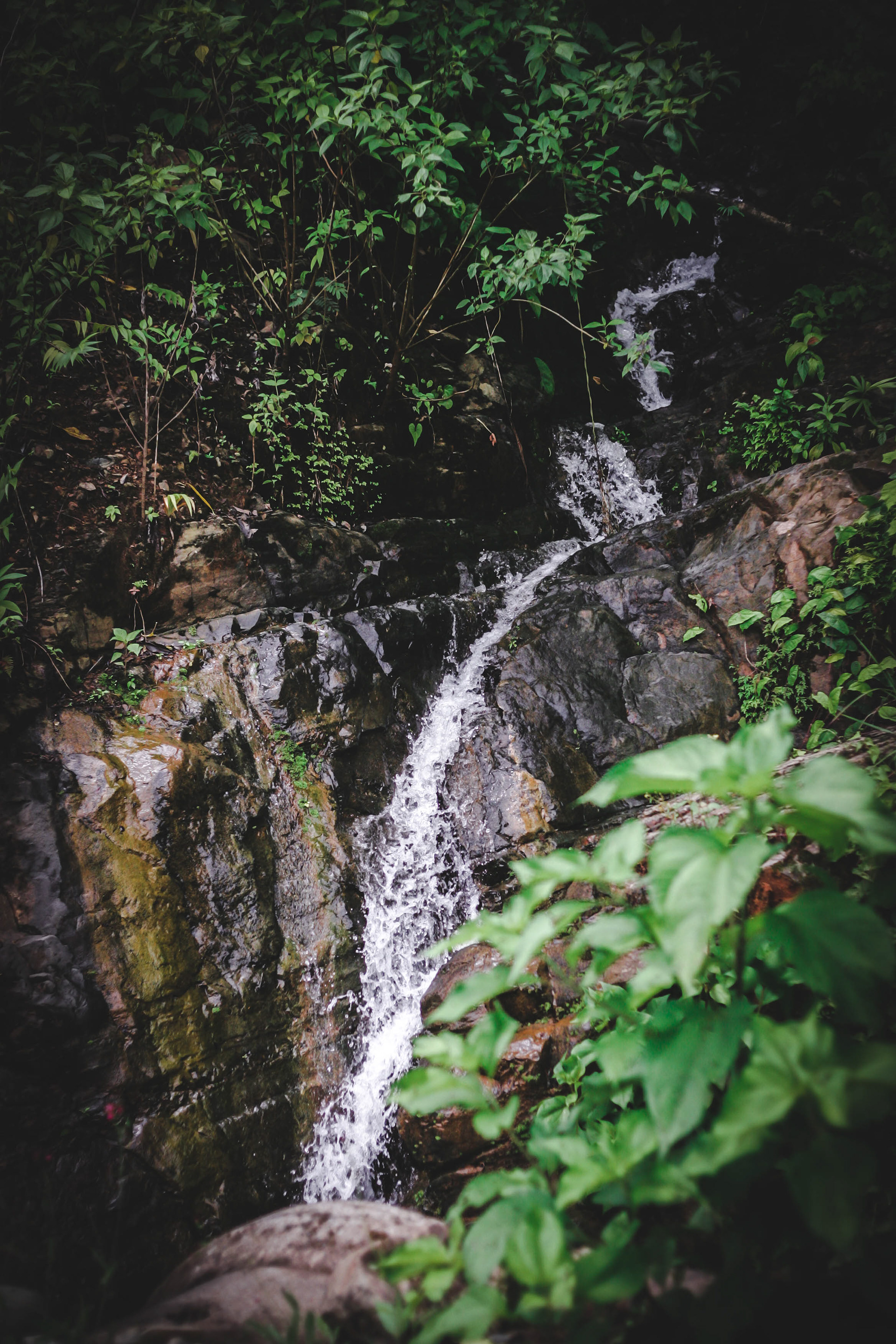 Catarata 2019