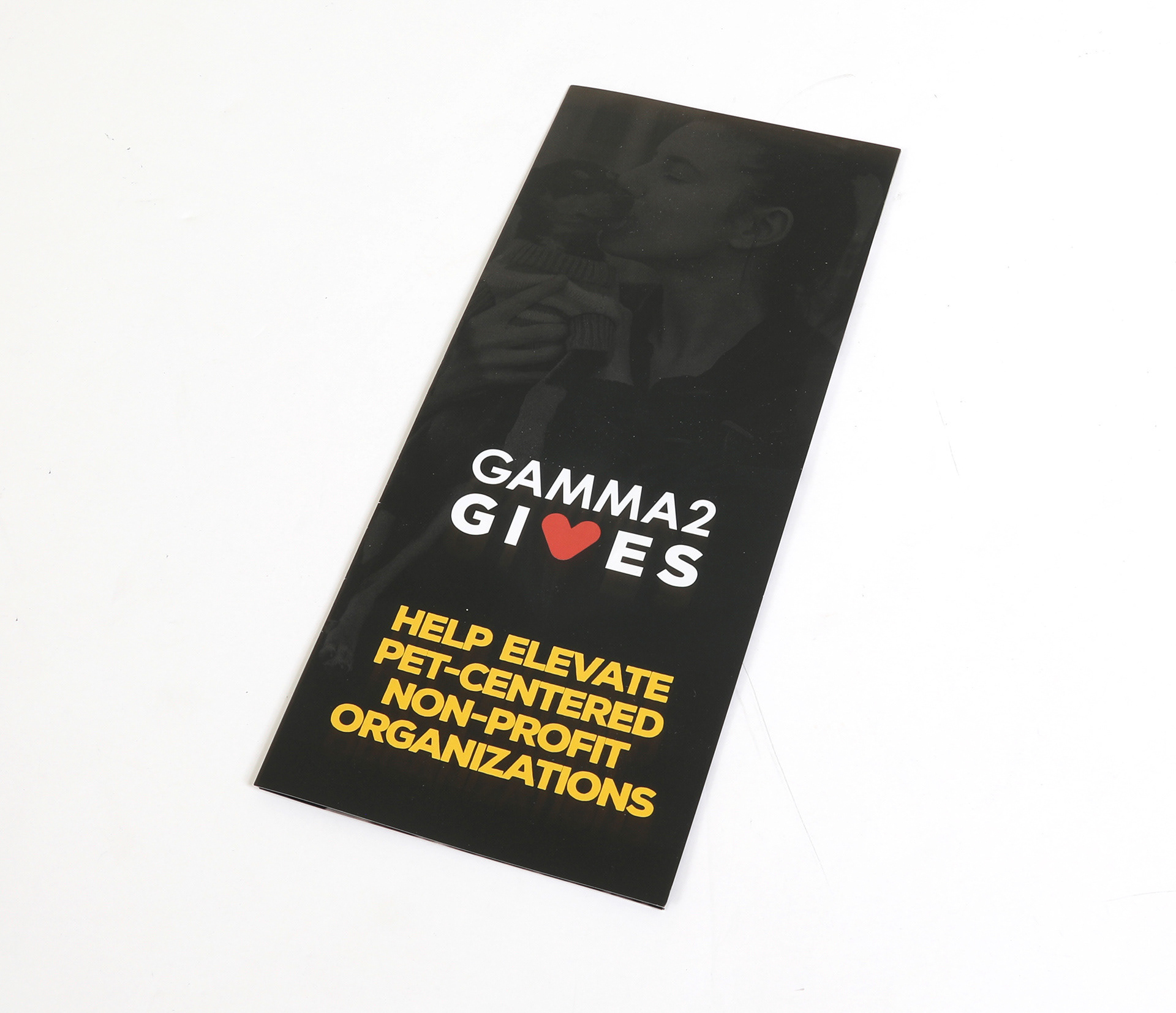 Gamma2 Gives Register Brochure Cover