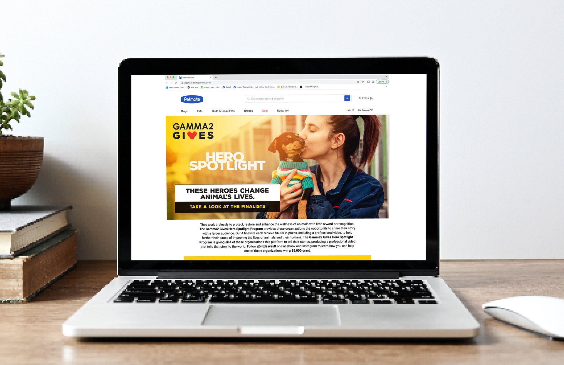Gamma2 Gives Landing Page