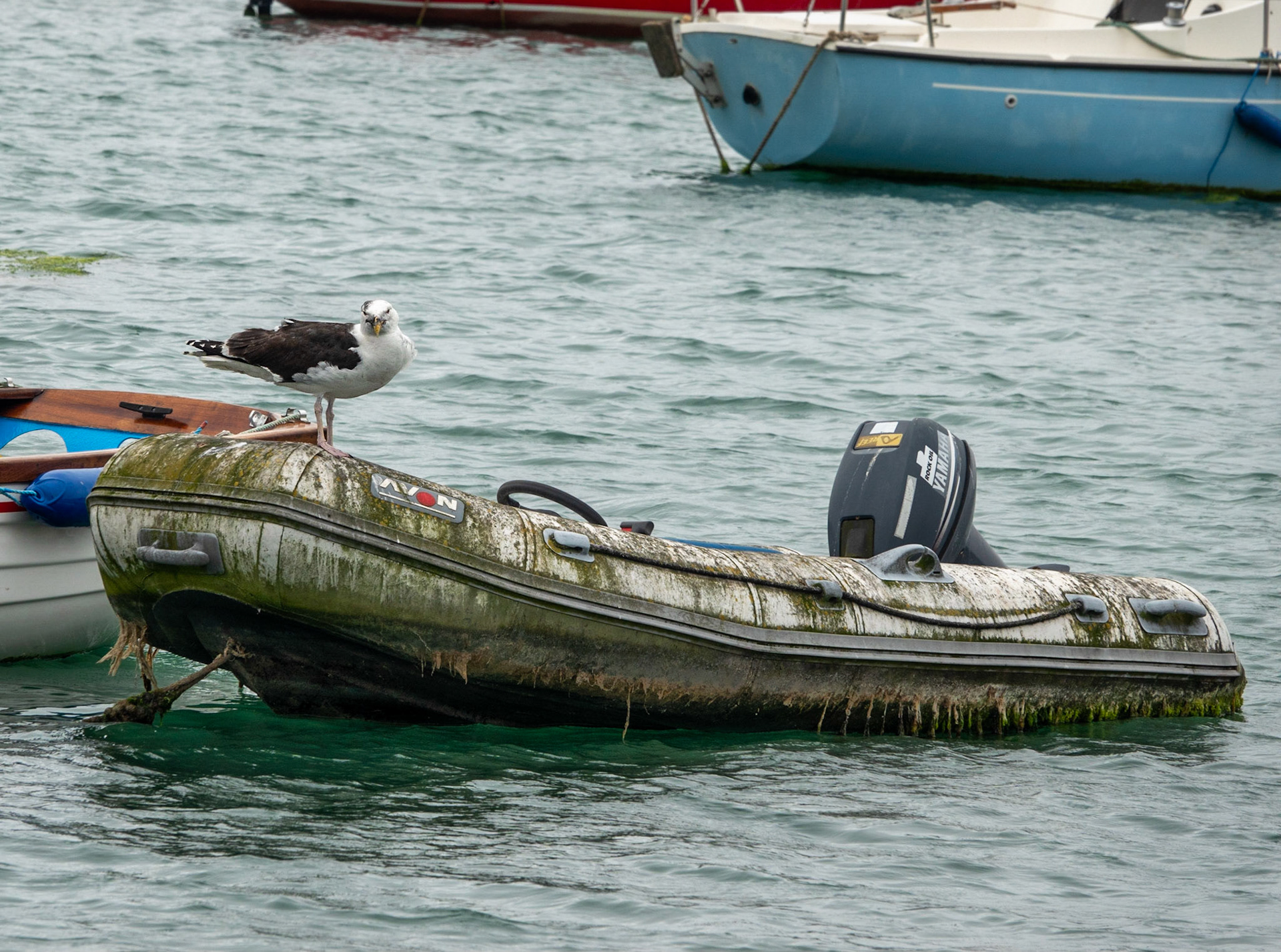 Penzance Harbour