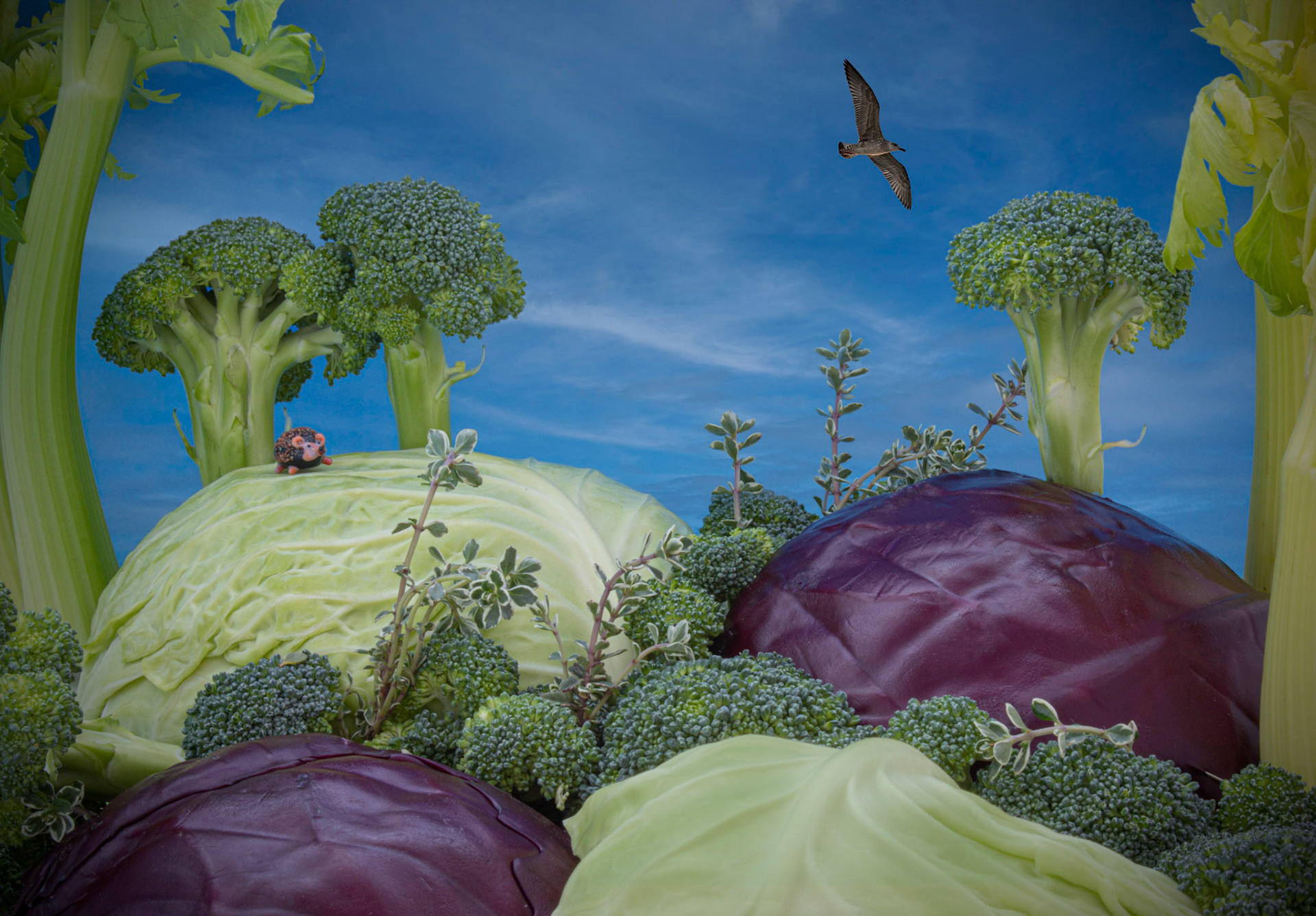 Veggie-Land