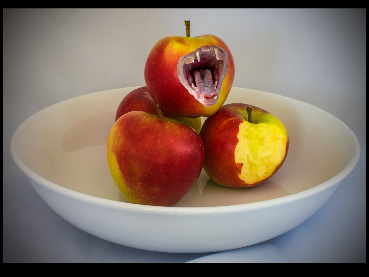 The Rotten Apple