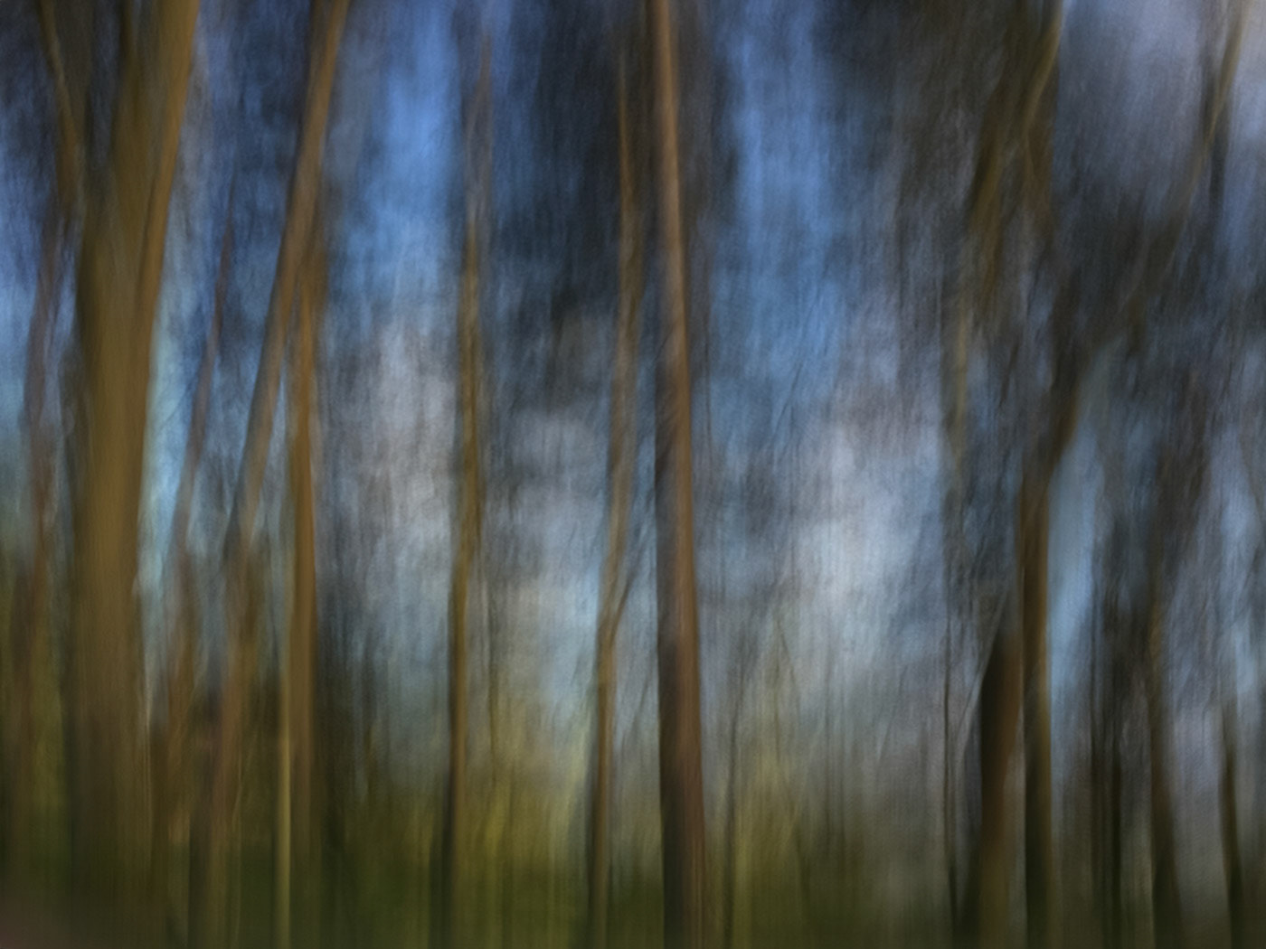 Brueton Park ICM