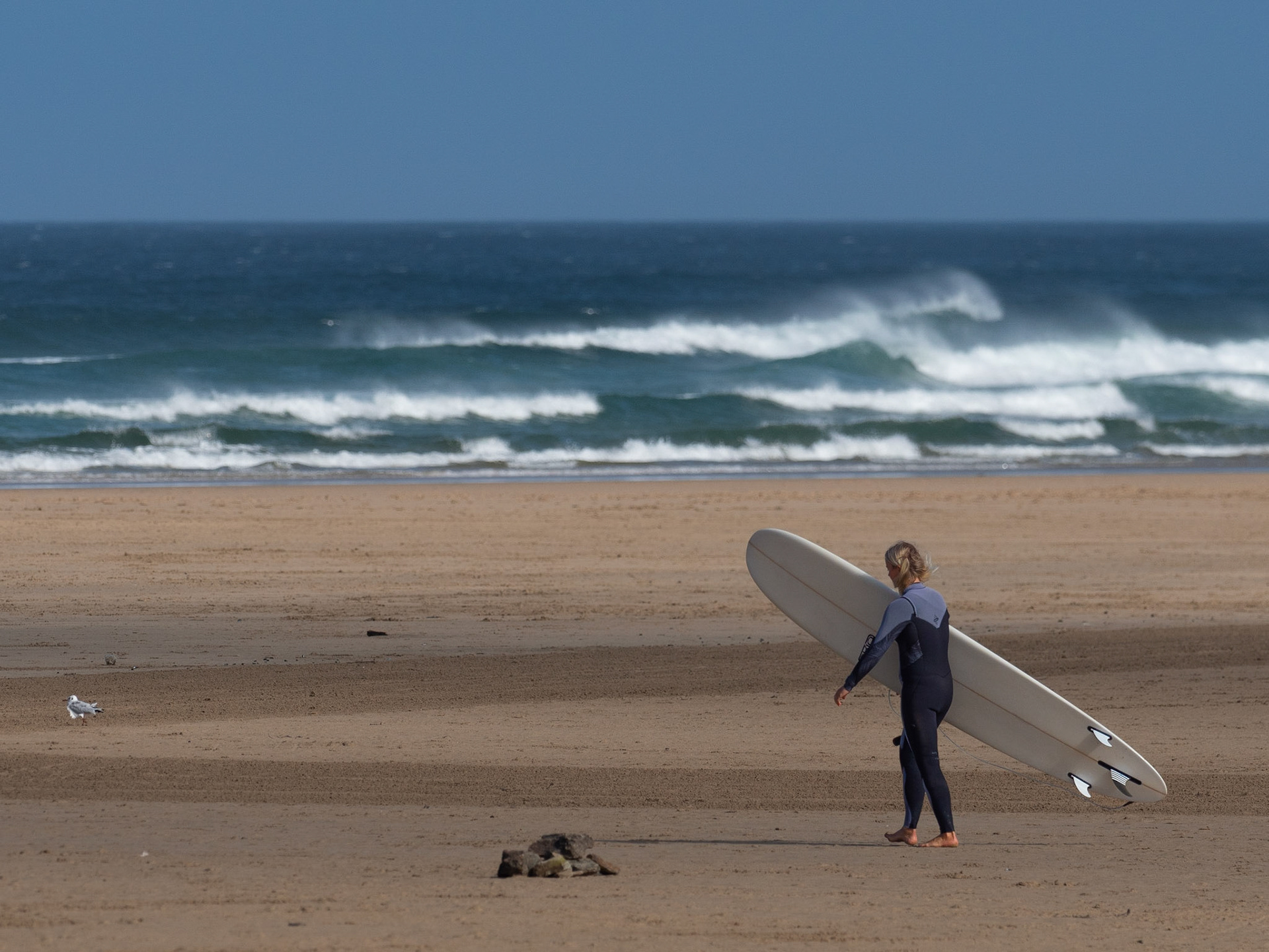 Surfer