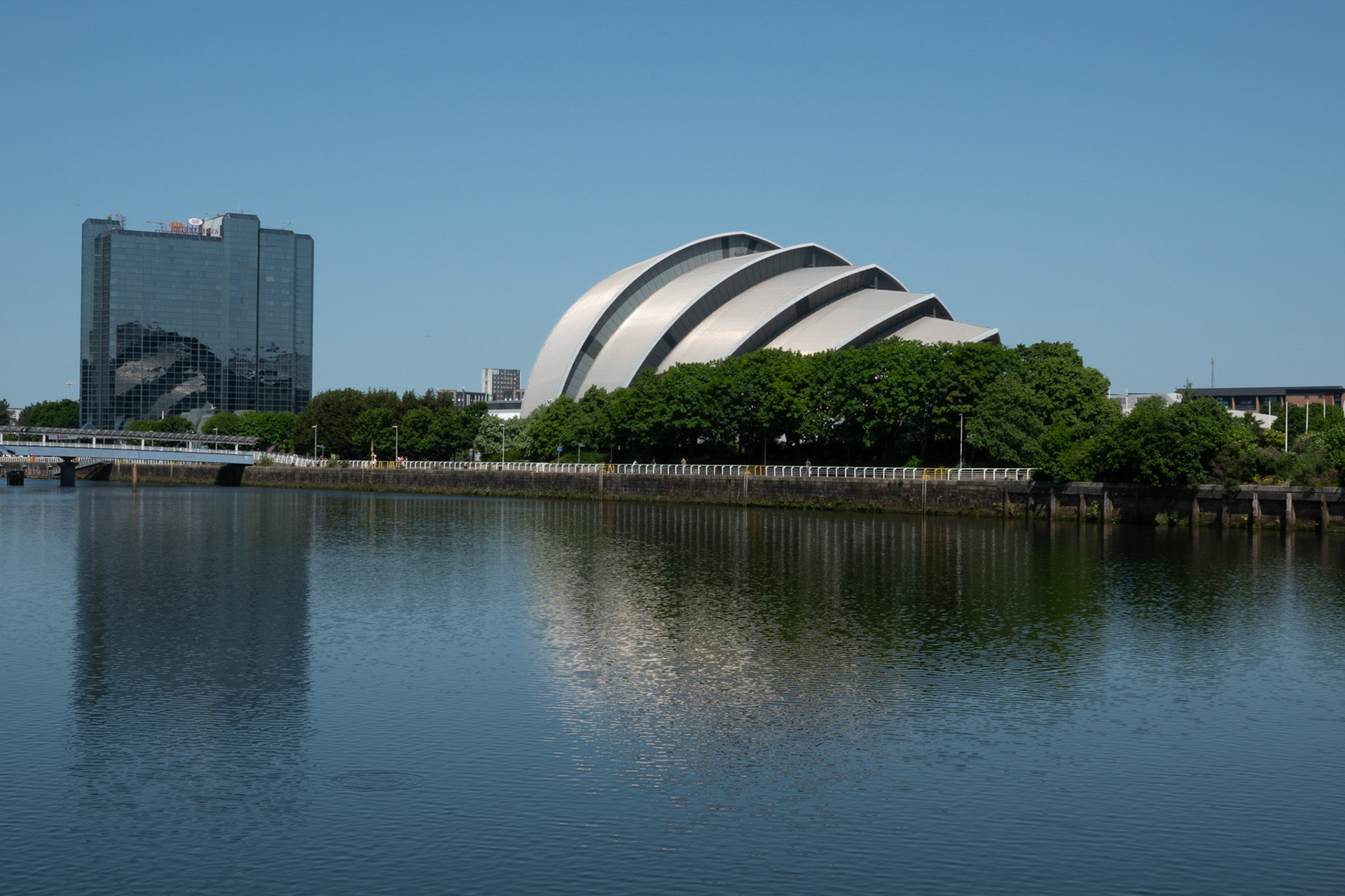 The Armadillo