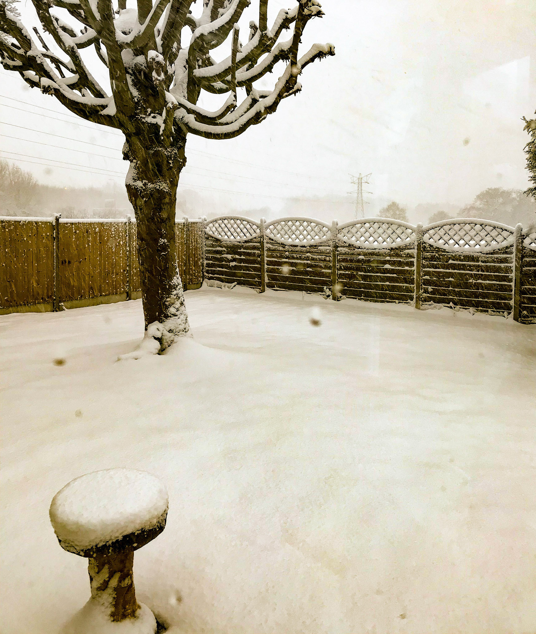 Snow-scene