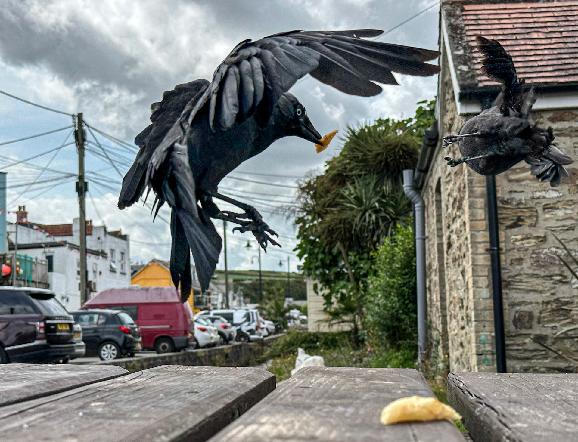 Scavengers