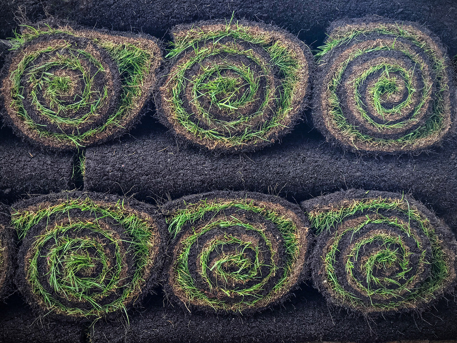Sod-it!