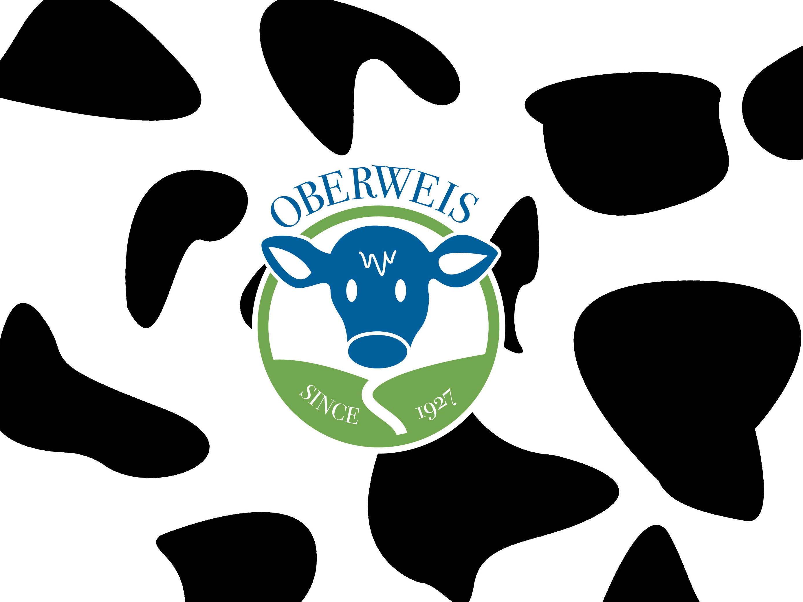 Emma Carrillo Oberweis Rebrand emma-carrillo-oberweis-rebrand