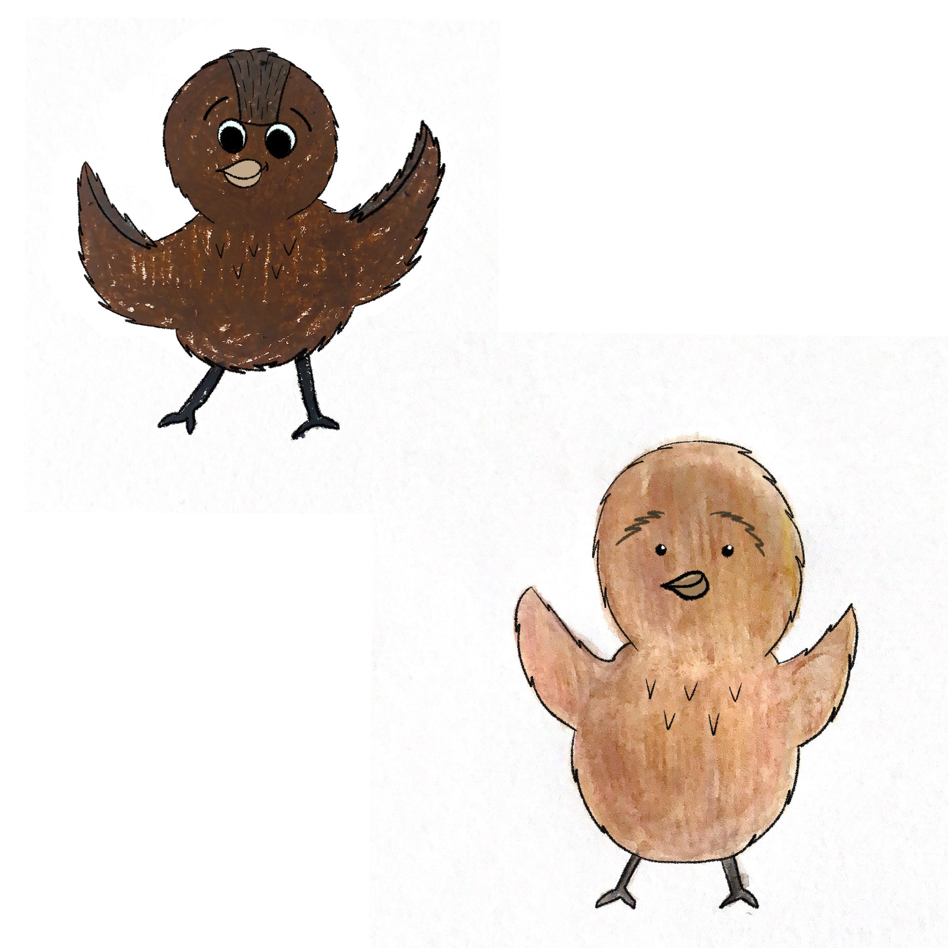 'The Jay and the Peacock' - Character Design - Medium: Watercolour, Oil pastels, Photoshop, & Procreate