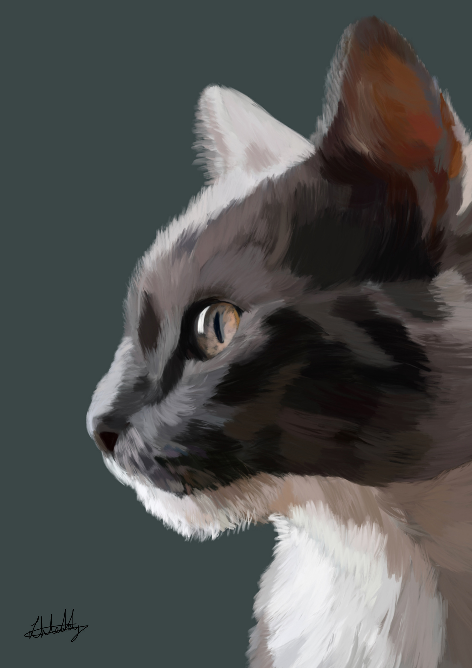 Cat Coloured Portrait