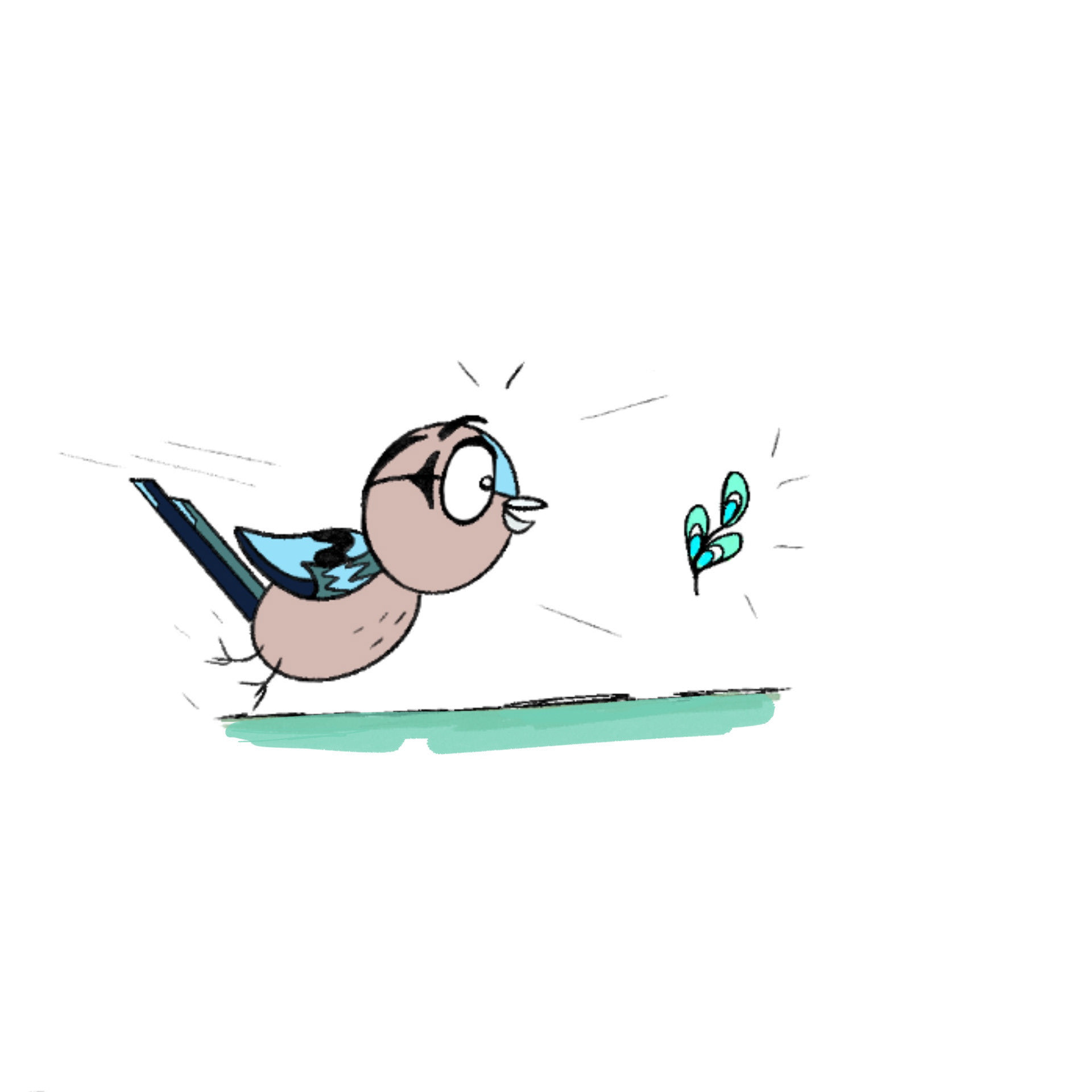 'The Jay and the Peacock' - Character Design - Medium: Procreate