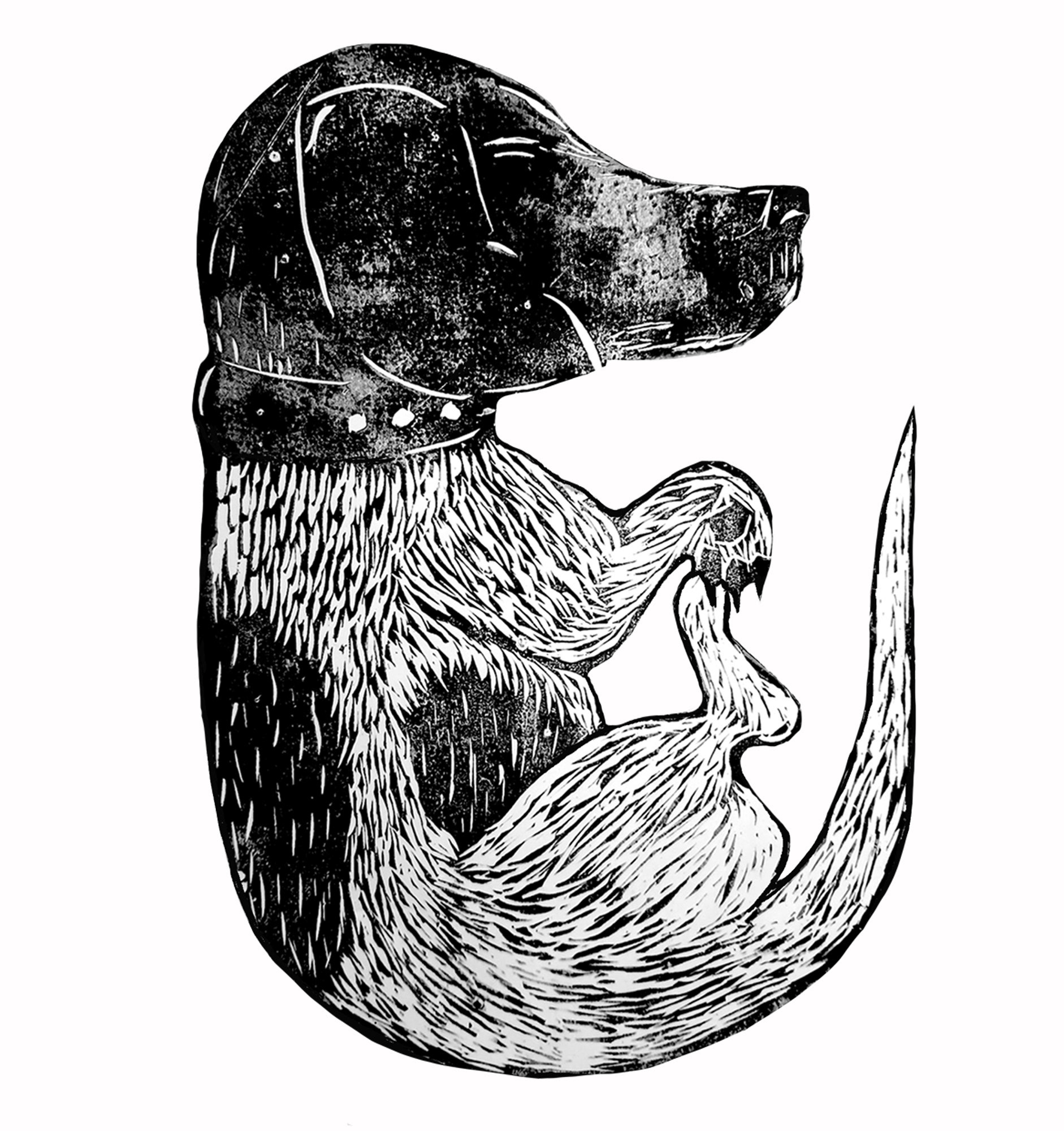 'Ember the Dog' - Medium: Lino print