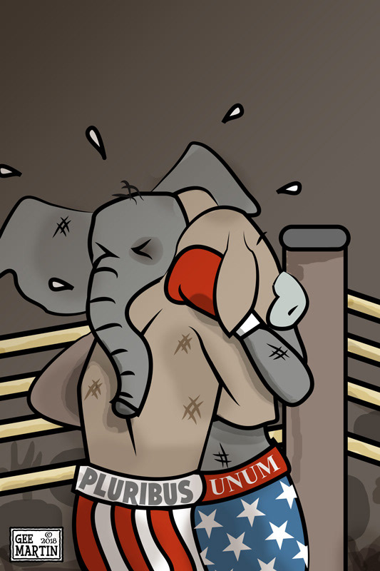 The Fighjt is On