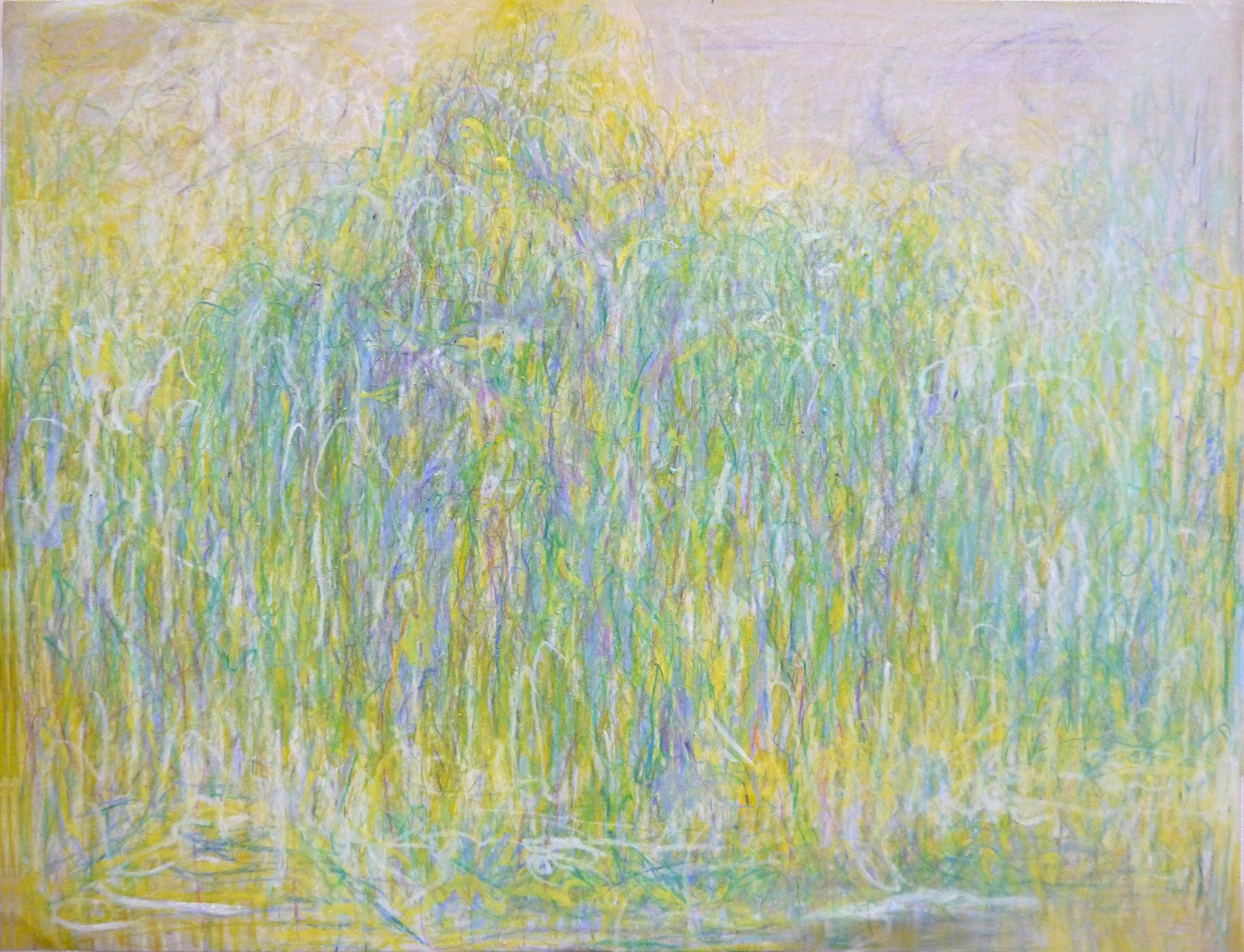 버드나무 시리즈, 30x40cm,oil pastel,2019