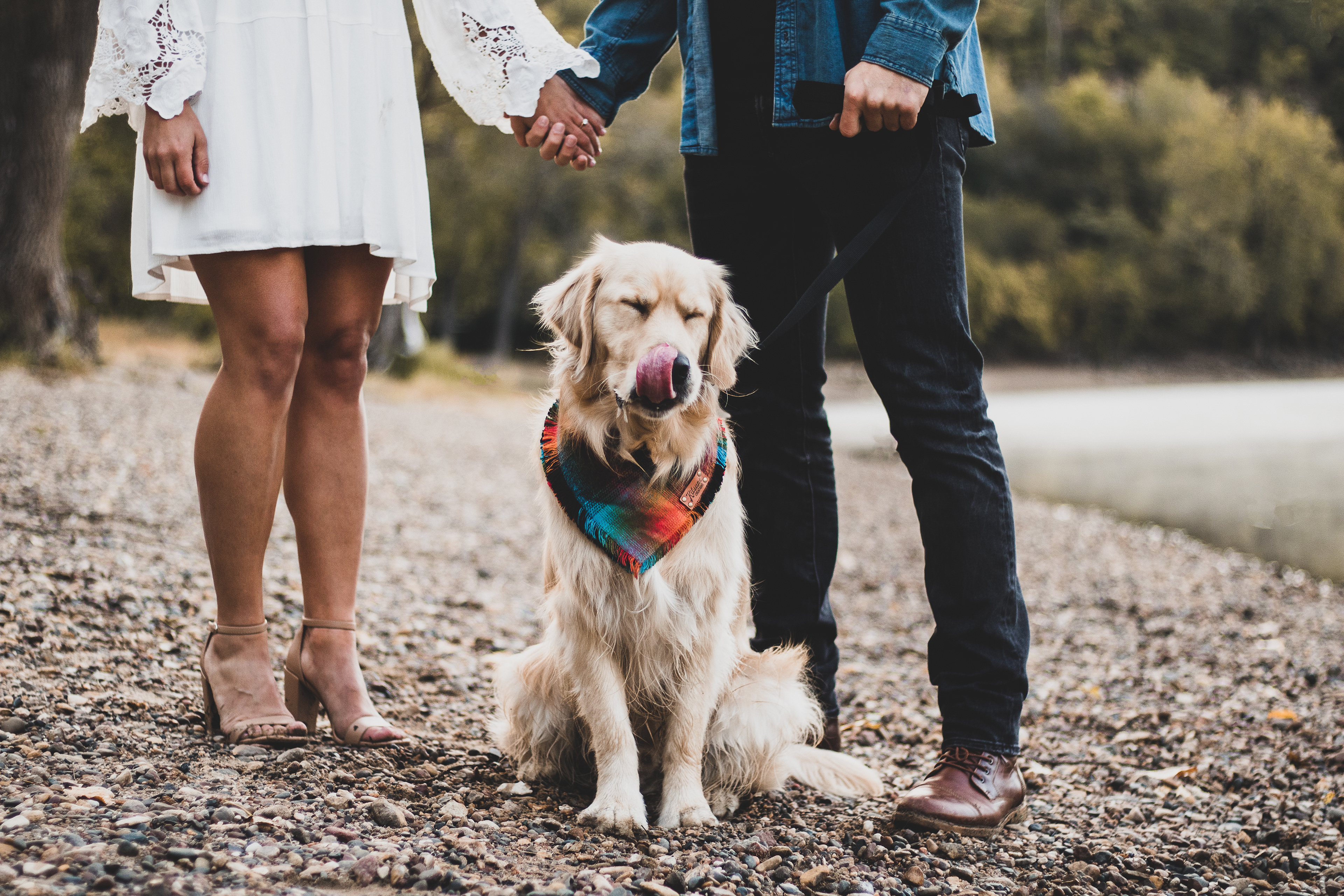 Couple with Labrador taking engagement photos at Hidden Falls regional park