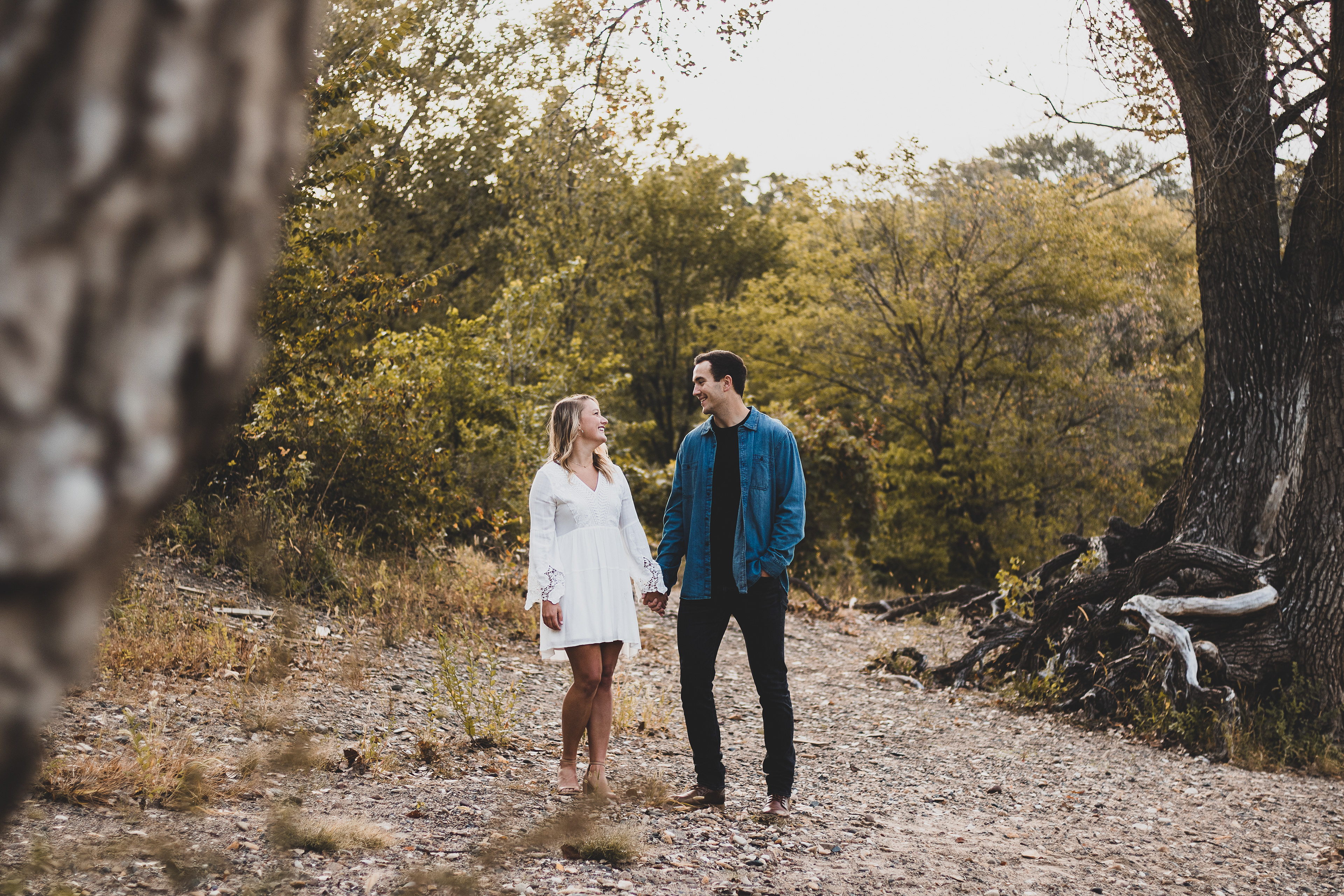 Engagement photos at Hidden Falls regional park