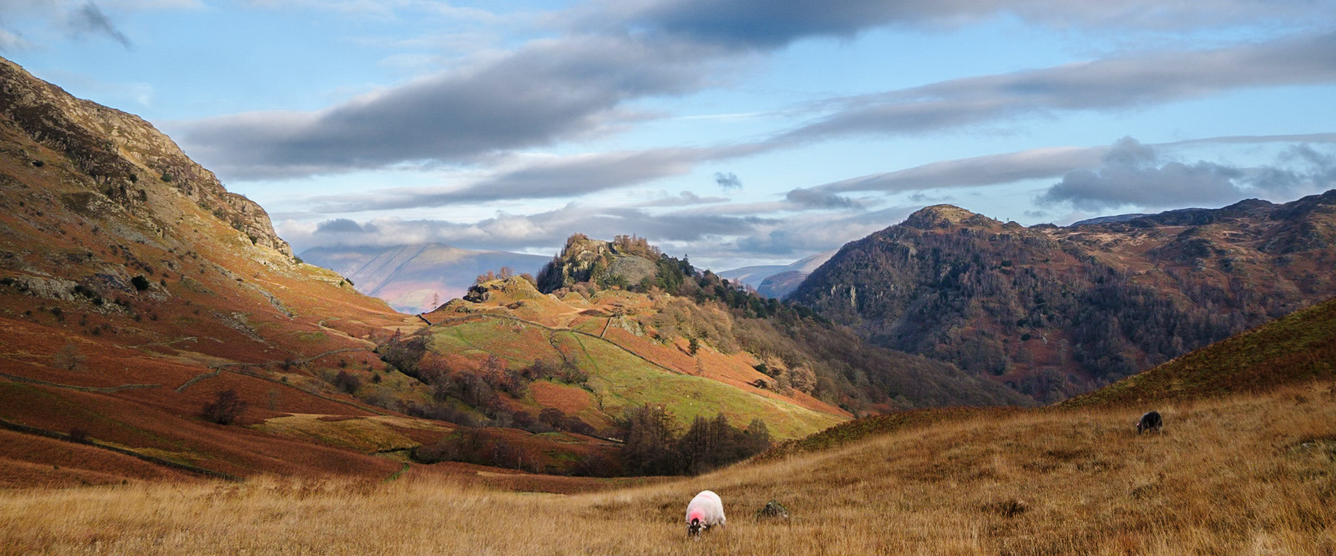 Castle Crag in Borrowdale
