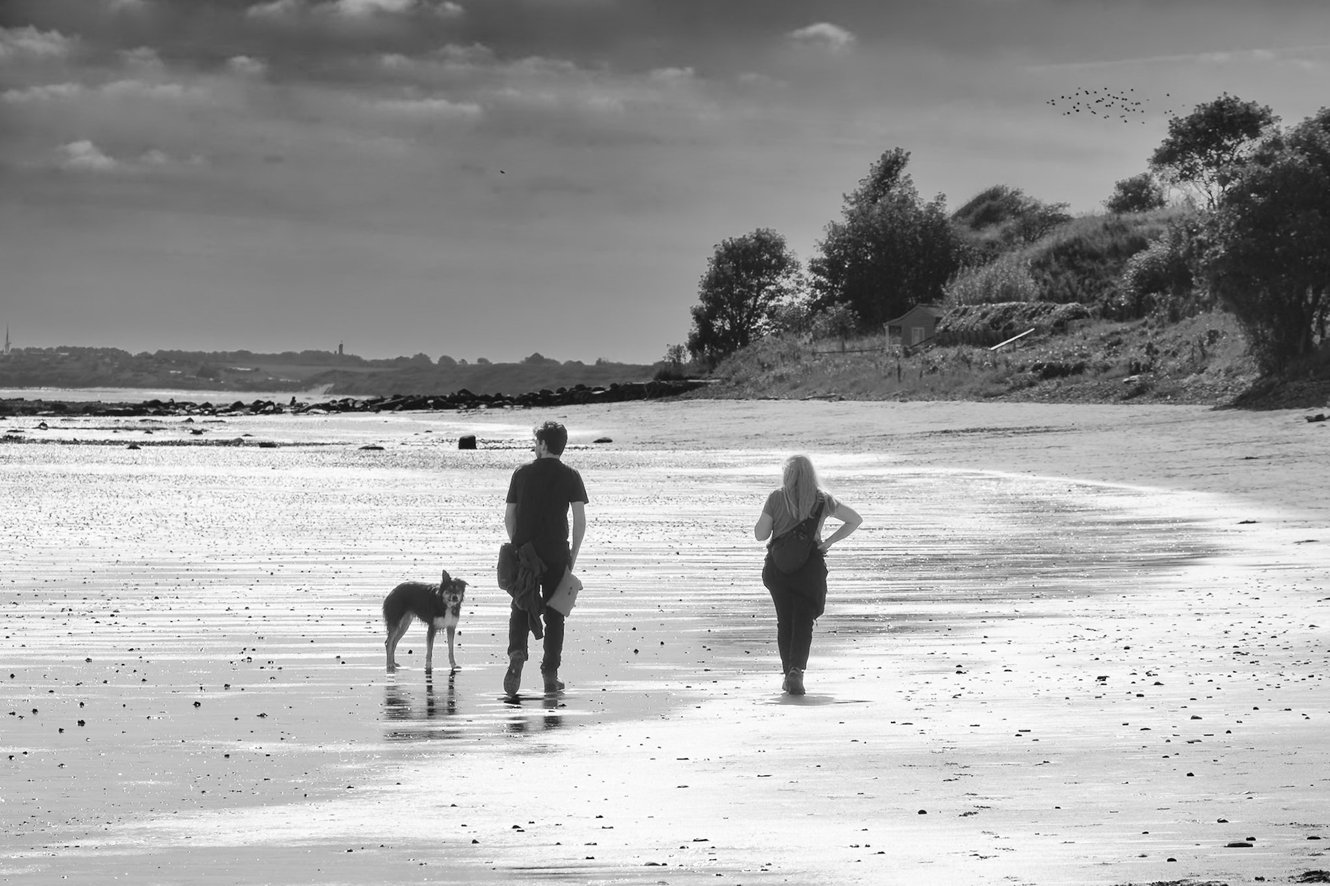 On the beach with the dog