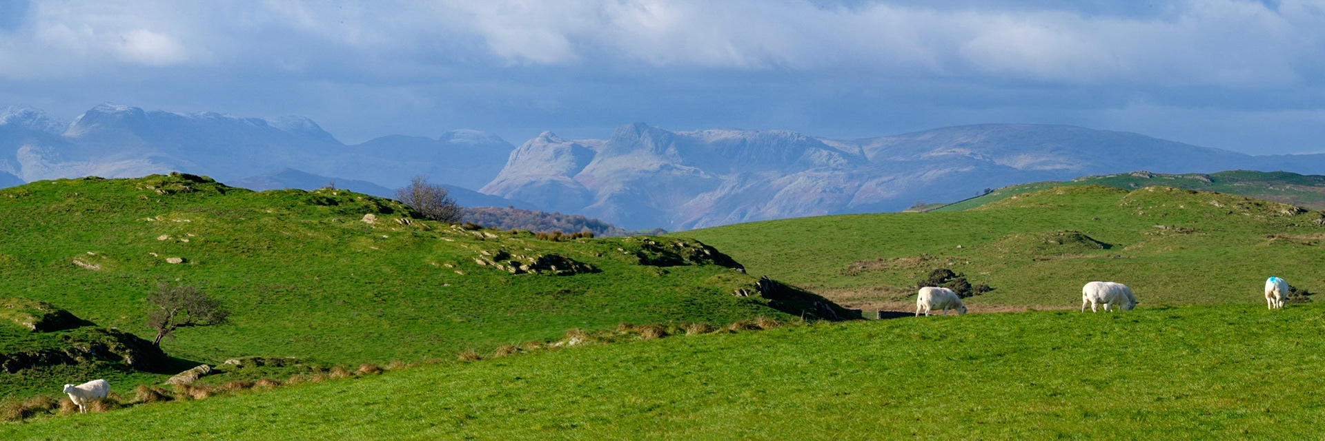Looking towards the Langdale Pikes and Crinkle Crags from above Windermere