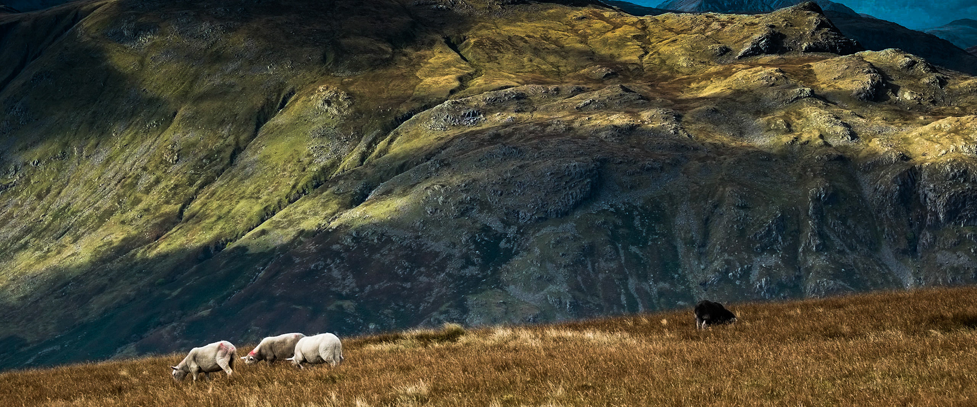 On the slopes of High Rise in the Lake District