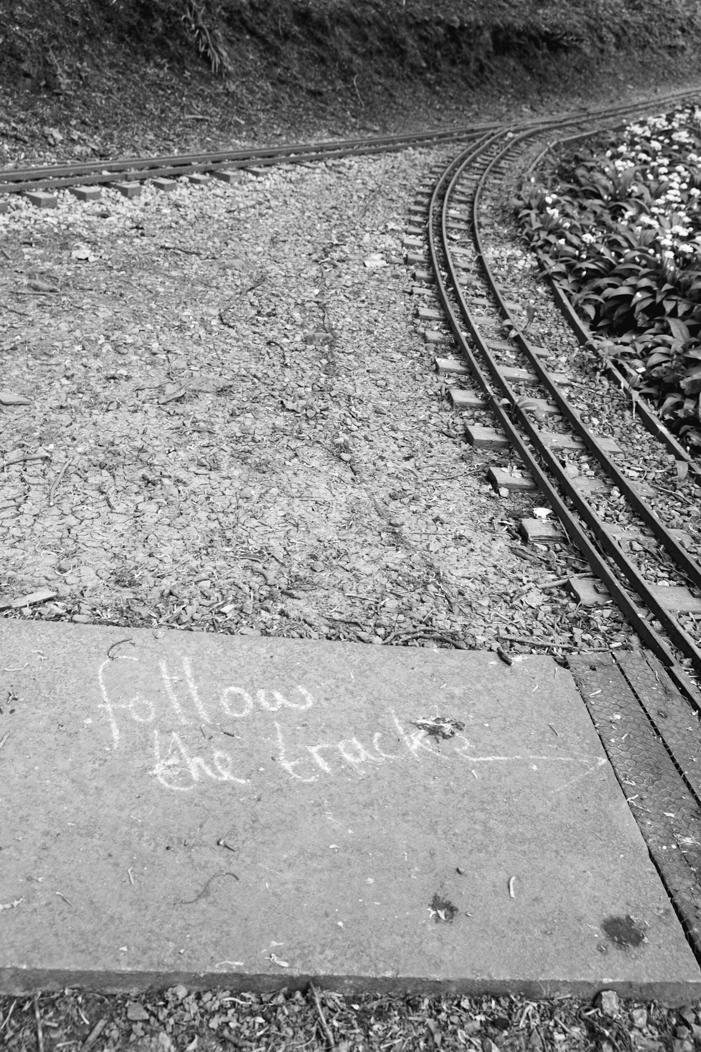 Follow the track