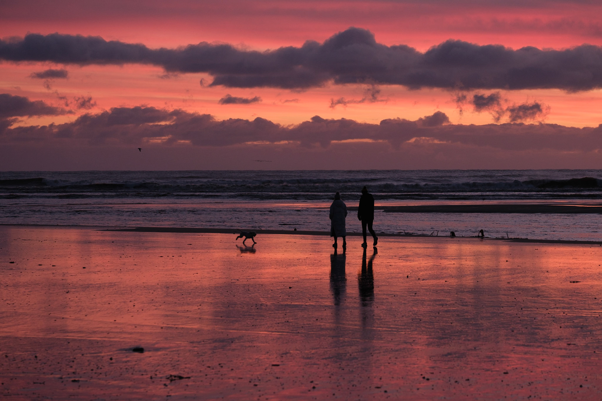 Early morning dog walkers on the beach