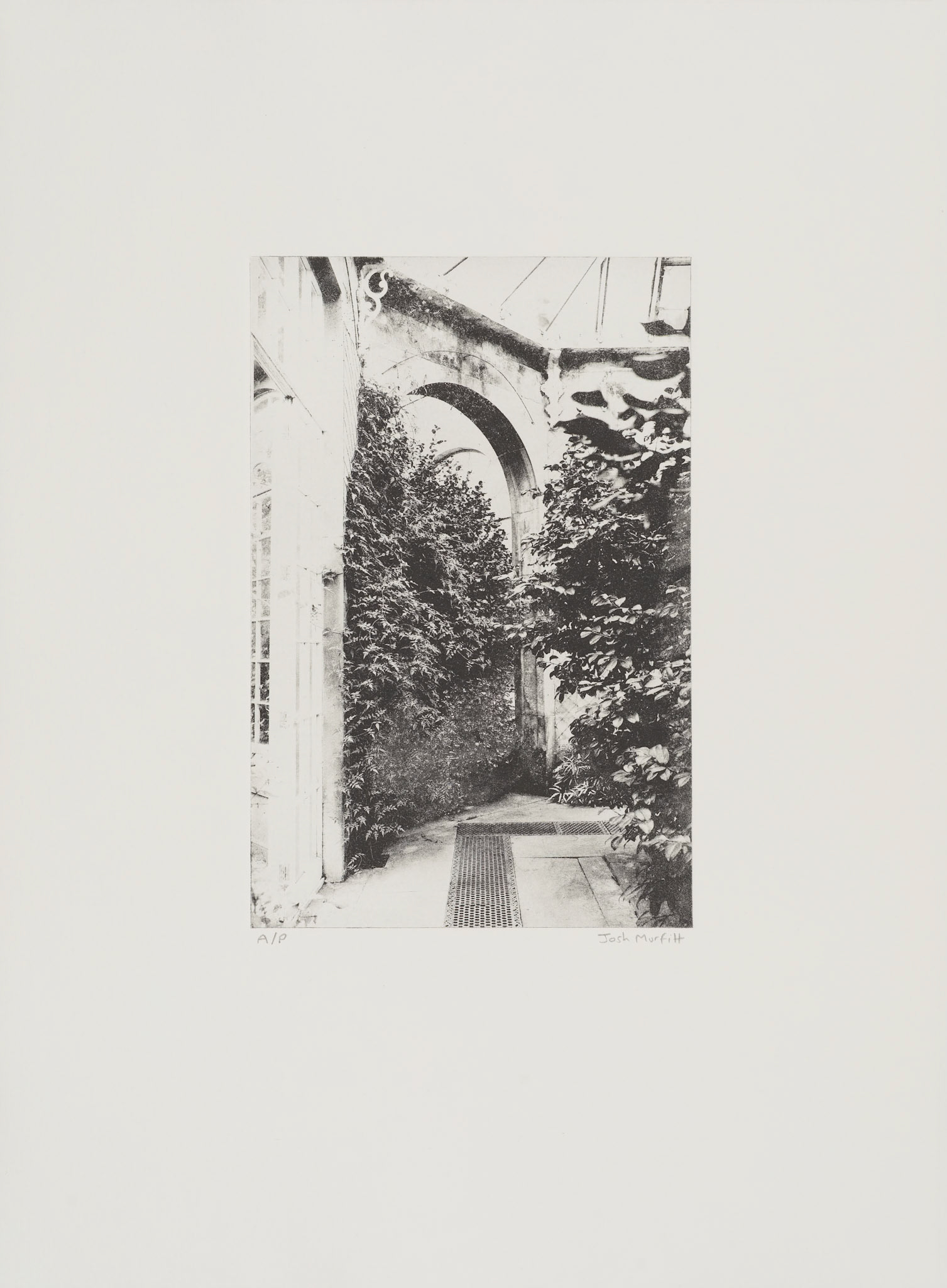 'Camellia House', open edition, 28 x 38 cm