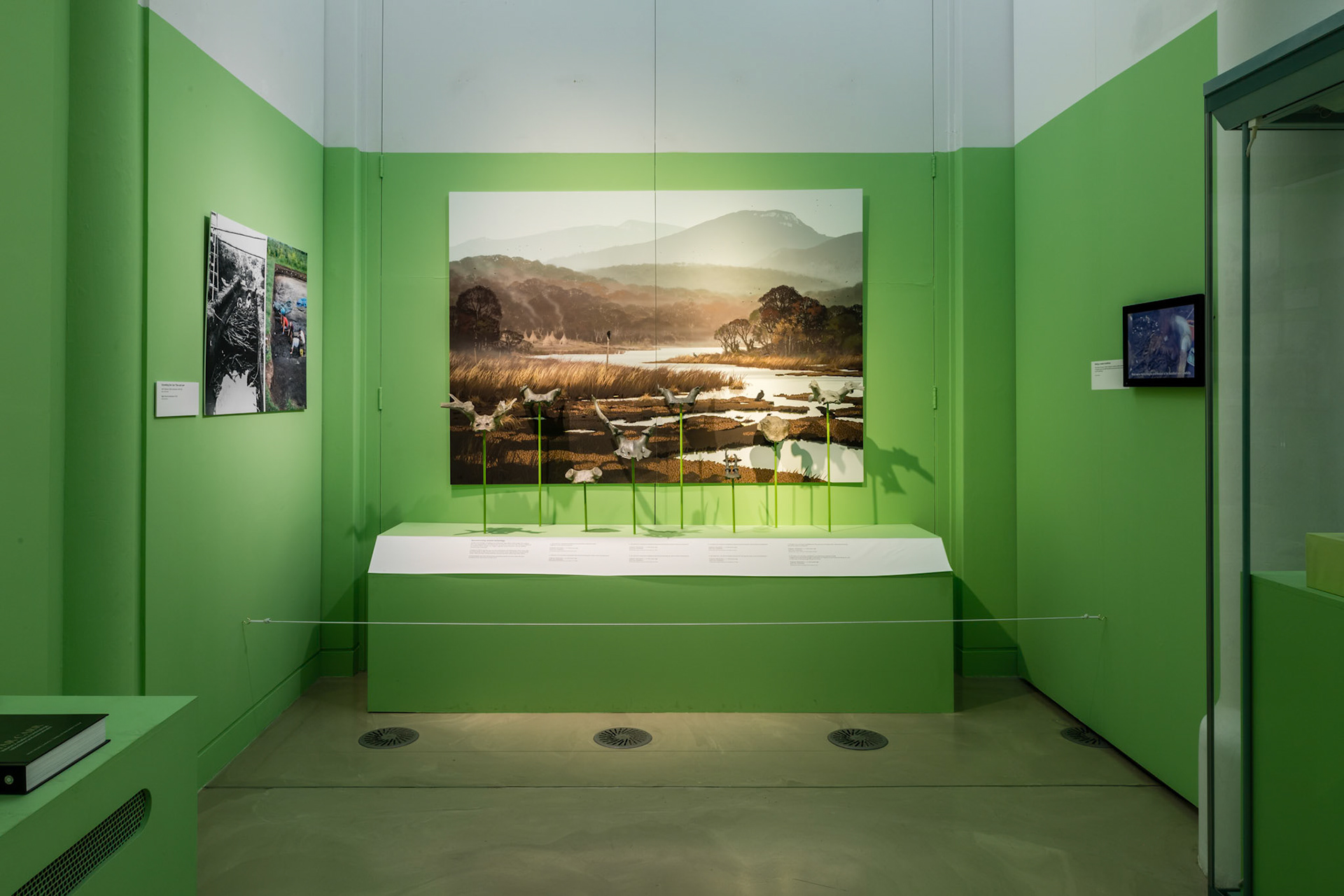 A Survival Story: Prehistoric Life at Star Carr, 2018, © Museum of Archaeology and Anthropology, University of Cambridge